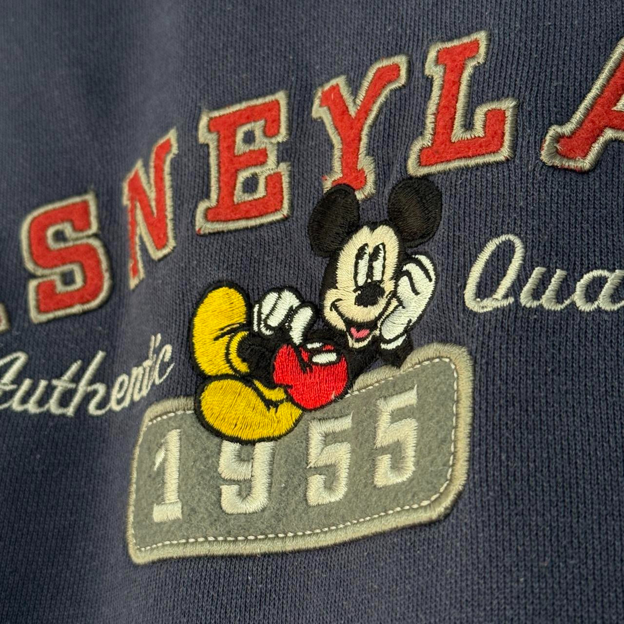 Disneyland Embroidered 00s Hoodie (L)