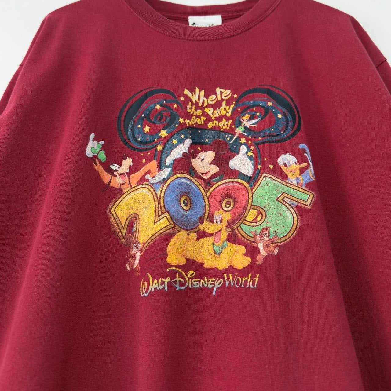 Vintage Walt Disney World 2005 T Shirt (L)