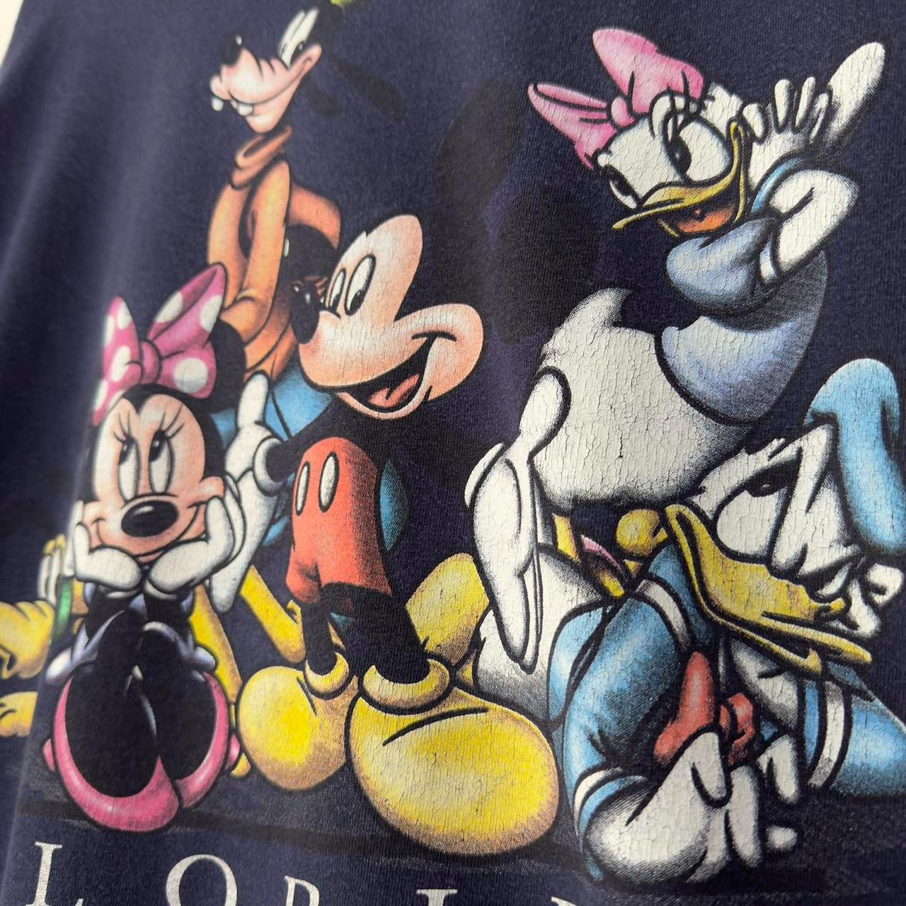 Vintage Florida Mickey and Friends 00s T Shirt (L)