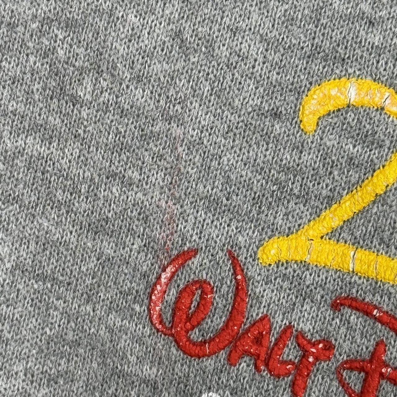 Vintage Walt Disney World Mickey & Friends 2000 Zip Up Hoodie (XXL)