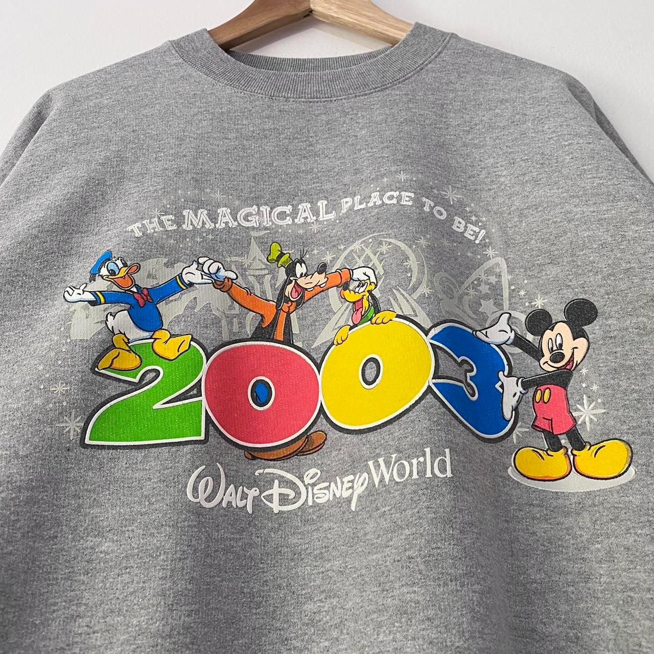 Vintage Walt Disney World 2003 Sweatshirt (XL)