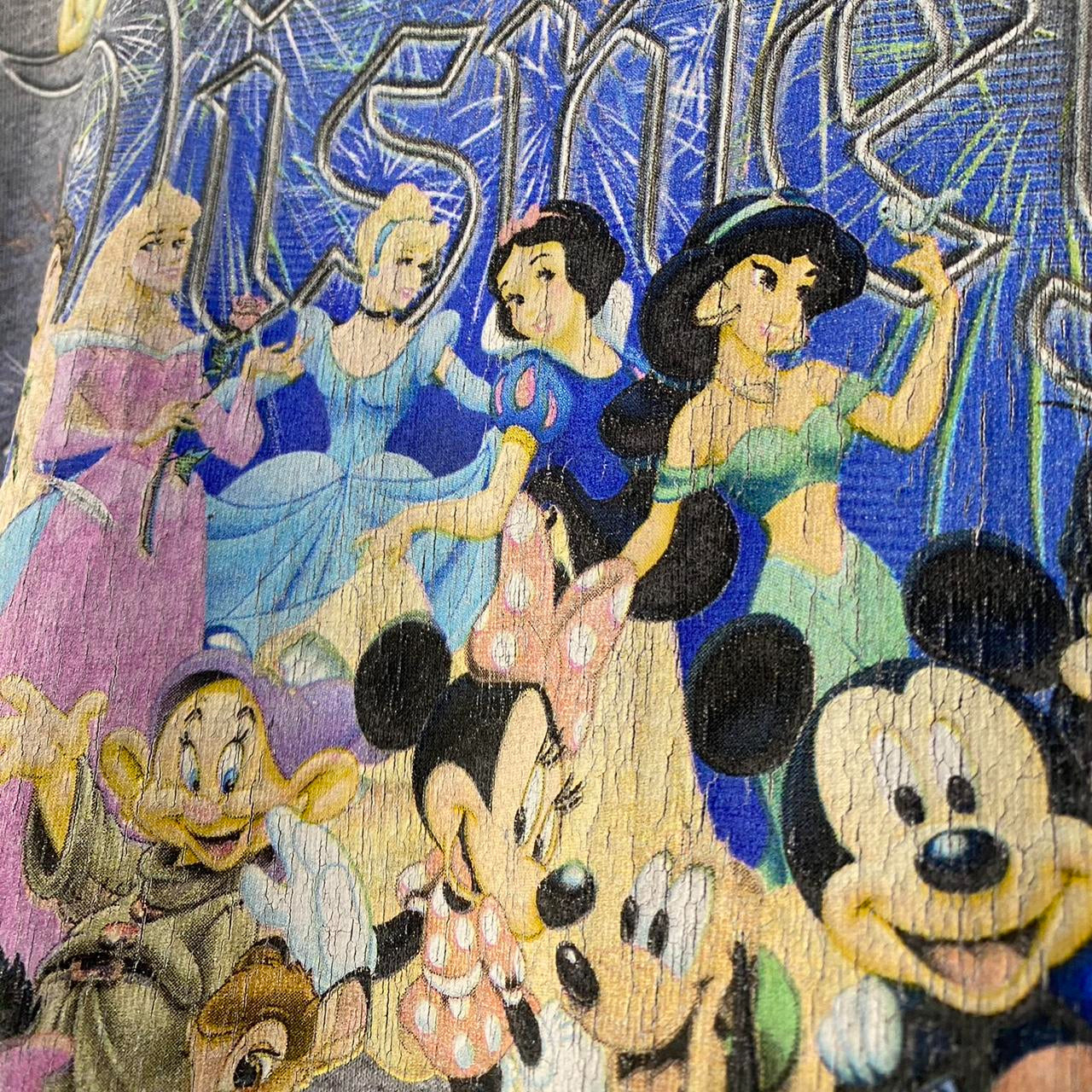 Disney Florida 2000s T Shirt (XL/XXL)