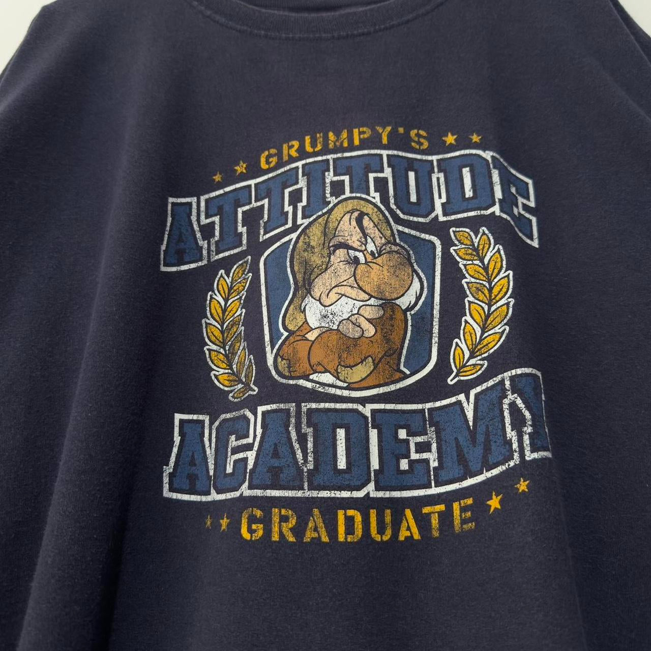 Vintage Grumpy's Attitude Academy Disney 00s T Shirt (XXL)