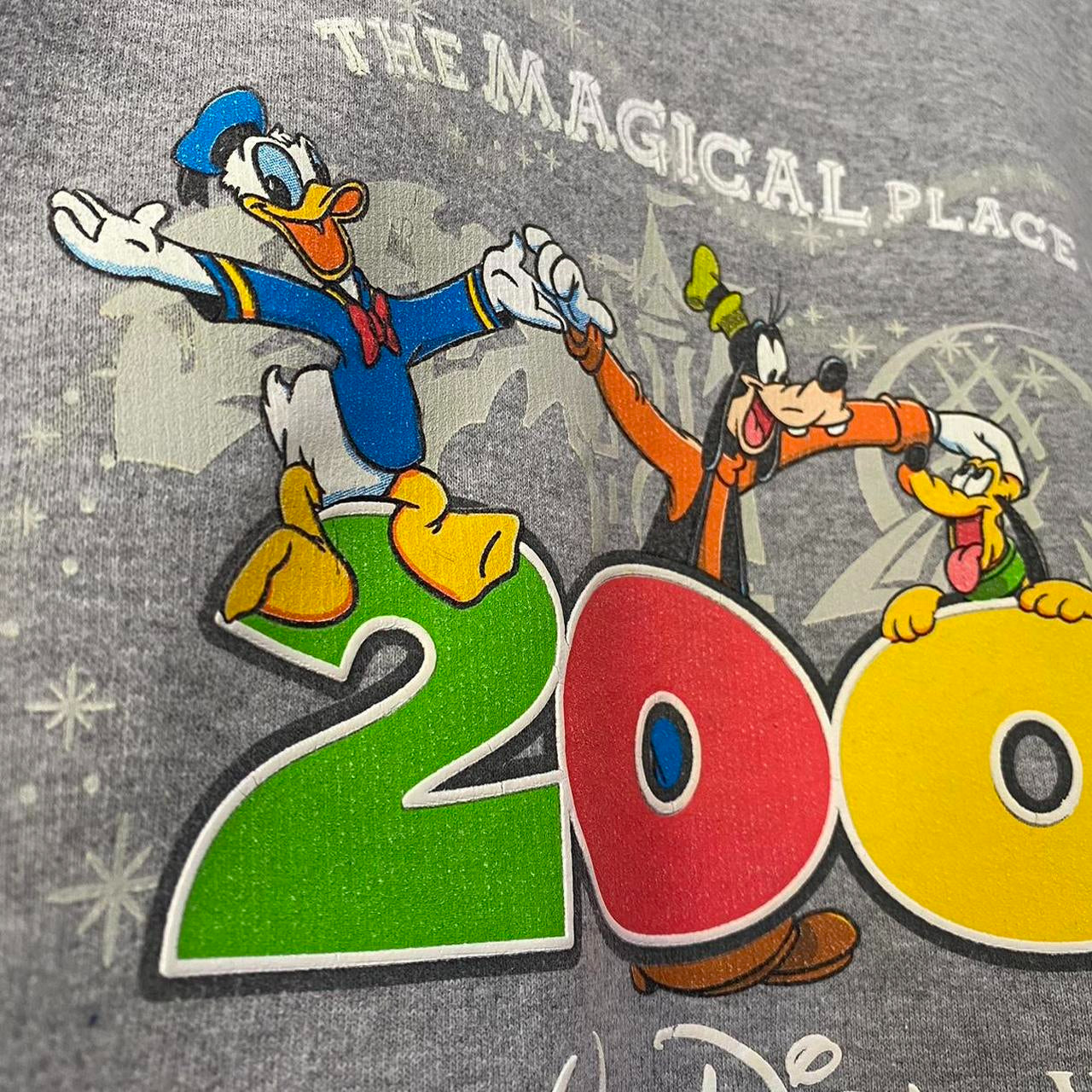 Vintage Walt Disney World 2003 Sweatshirt (XL)