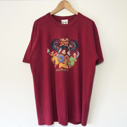 Vintage Walt Disney World 2005 T Shirt (L)
