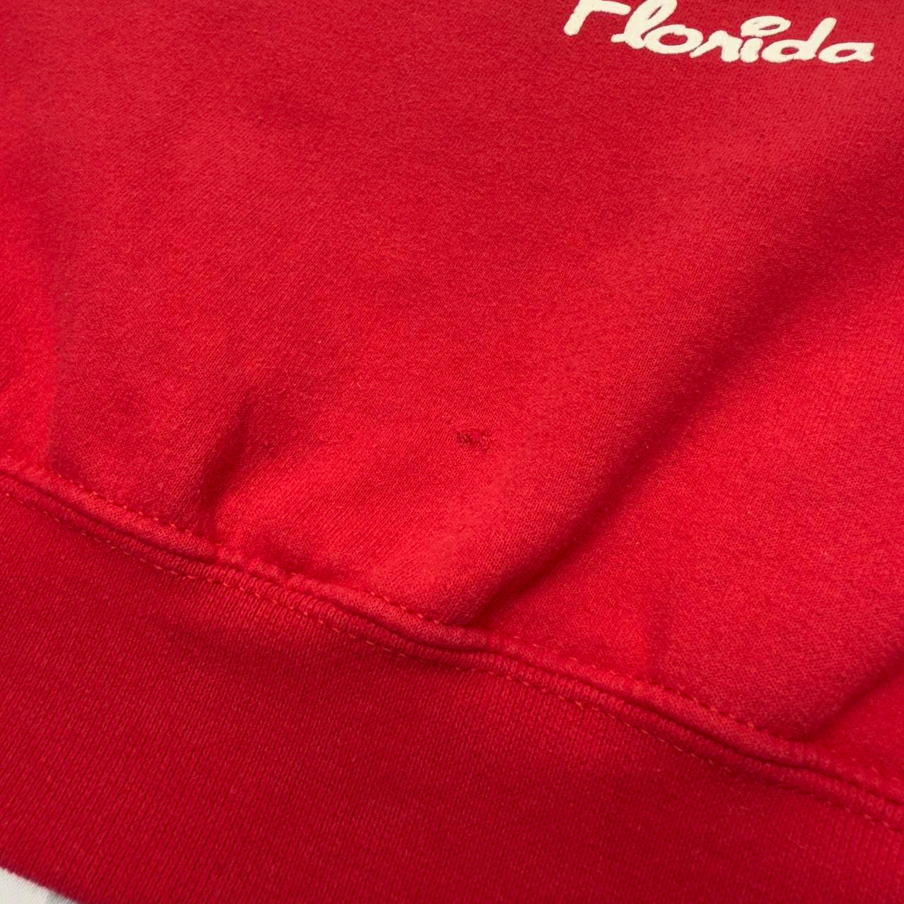 Mickey Mouse Florida 00s Sweatshirt (XL)