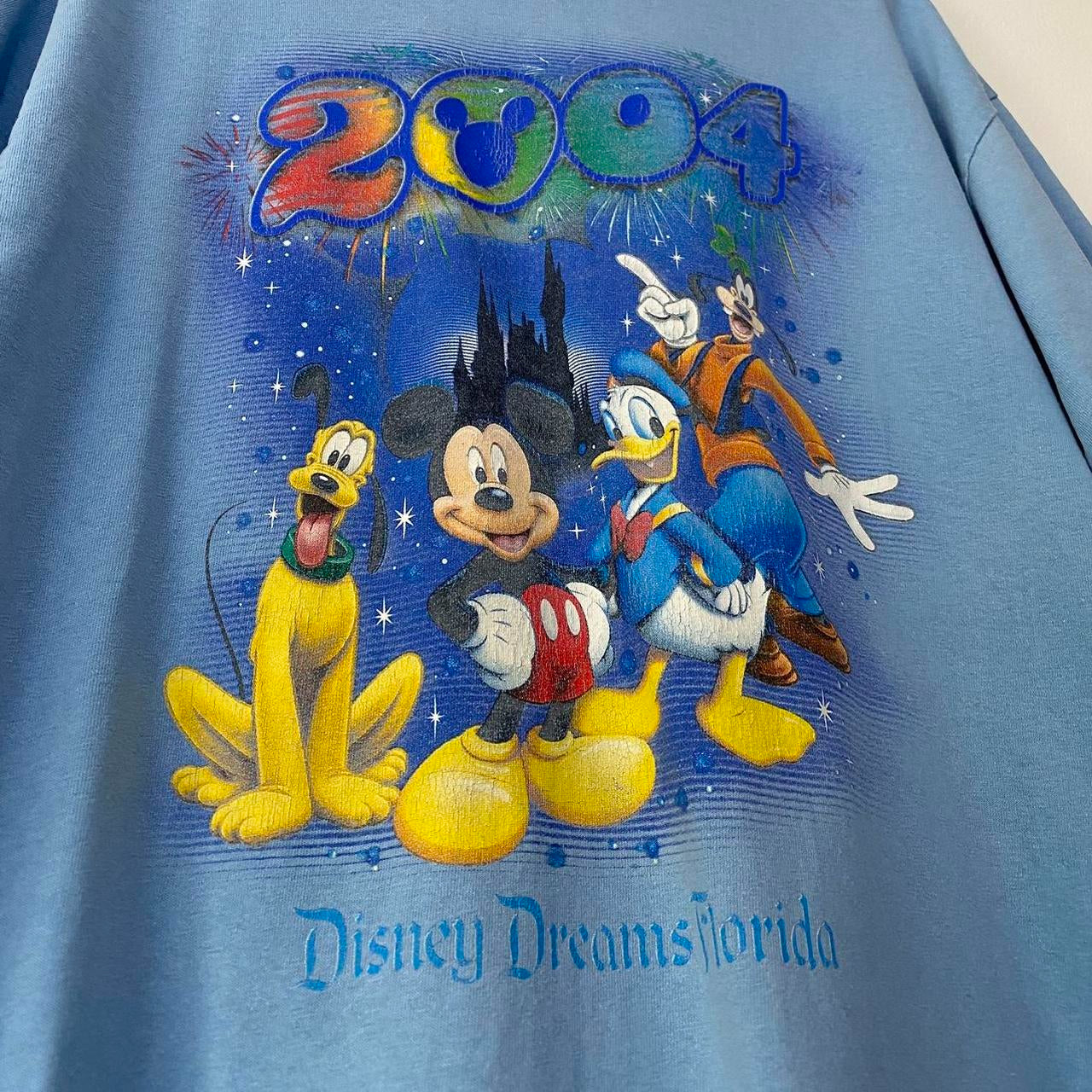 Vintage Disney Dreams Florida 2004 T Shirt (M/L)