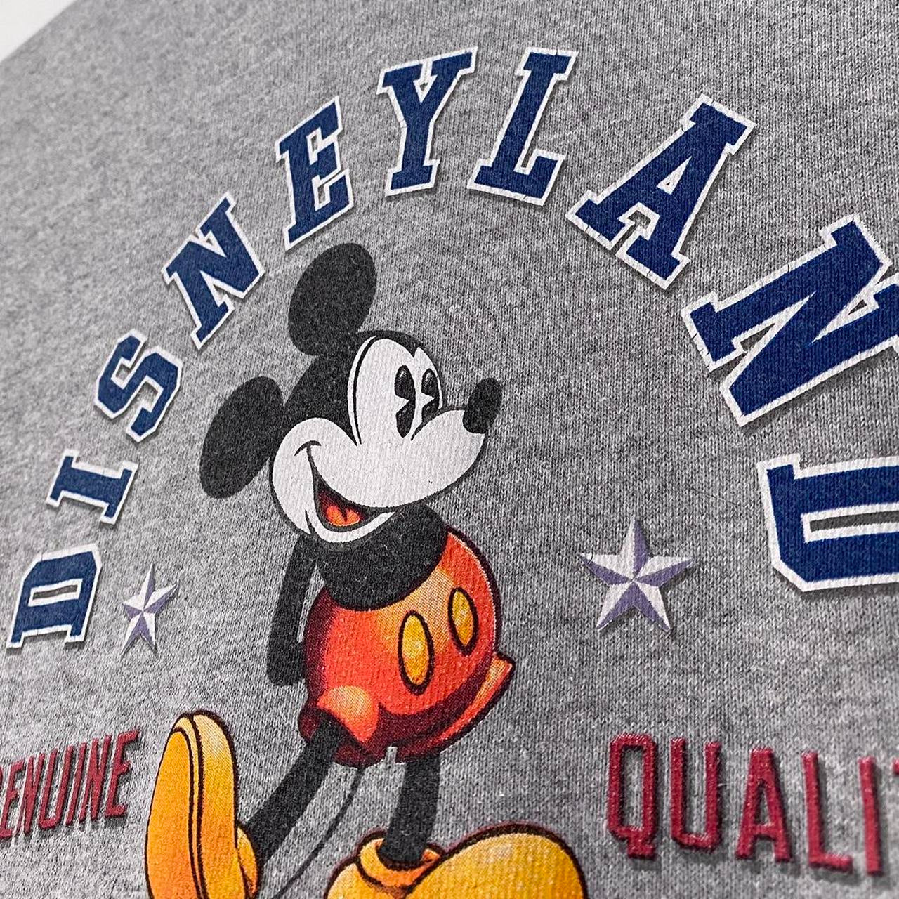 Disneyland Established in 1955 Grey Hoodie (XS)