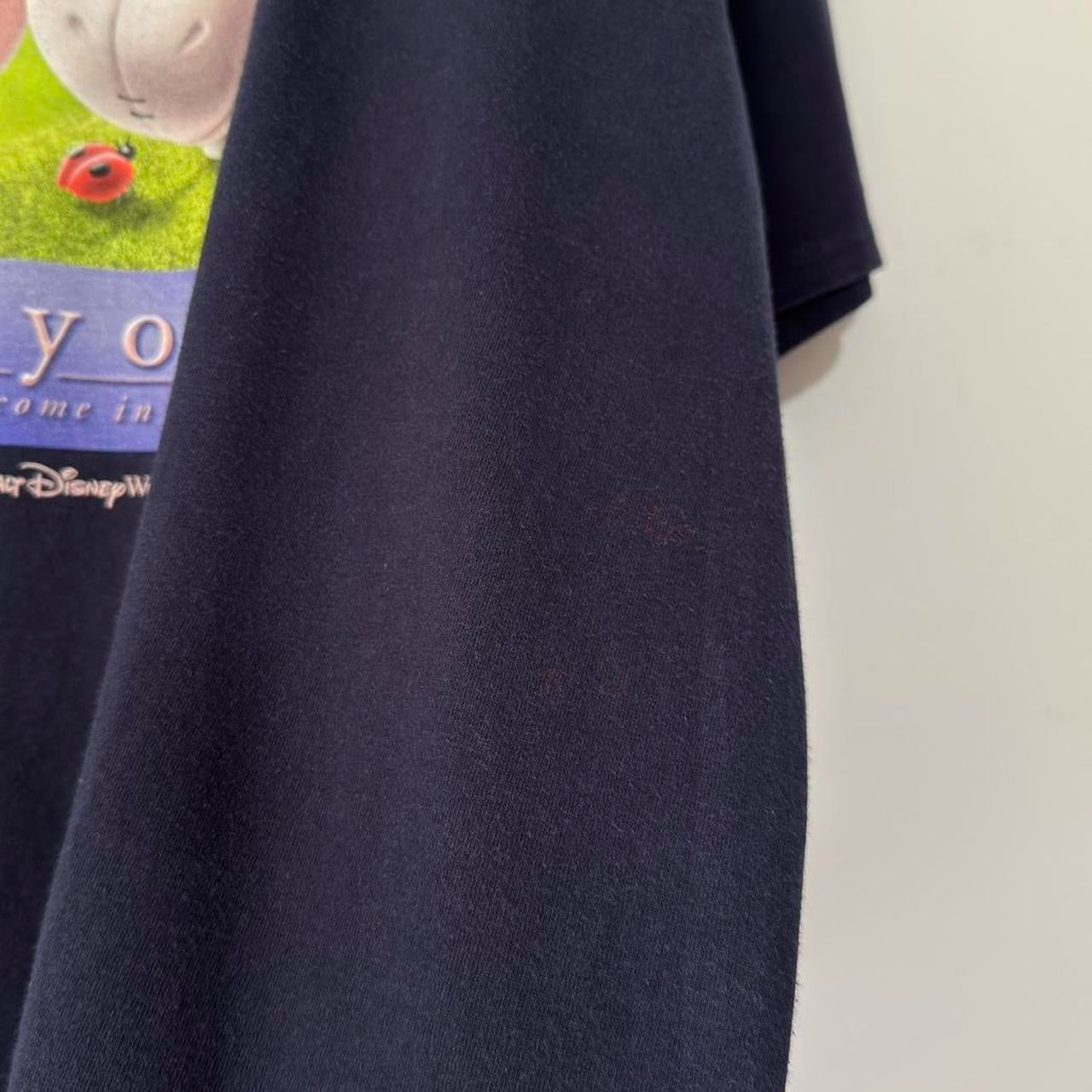 Vintage Eeyore Walt Disney World 00s T Shirt (XL)