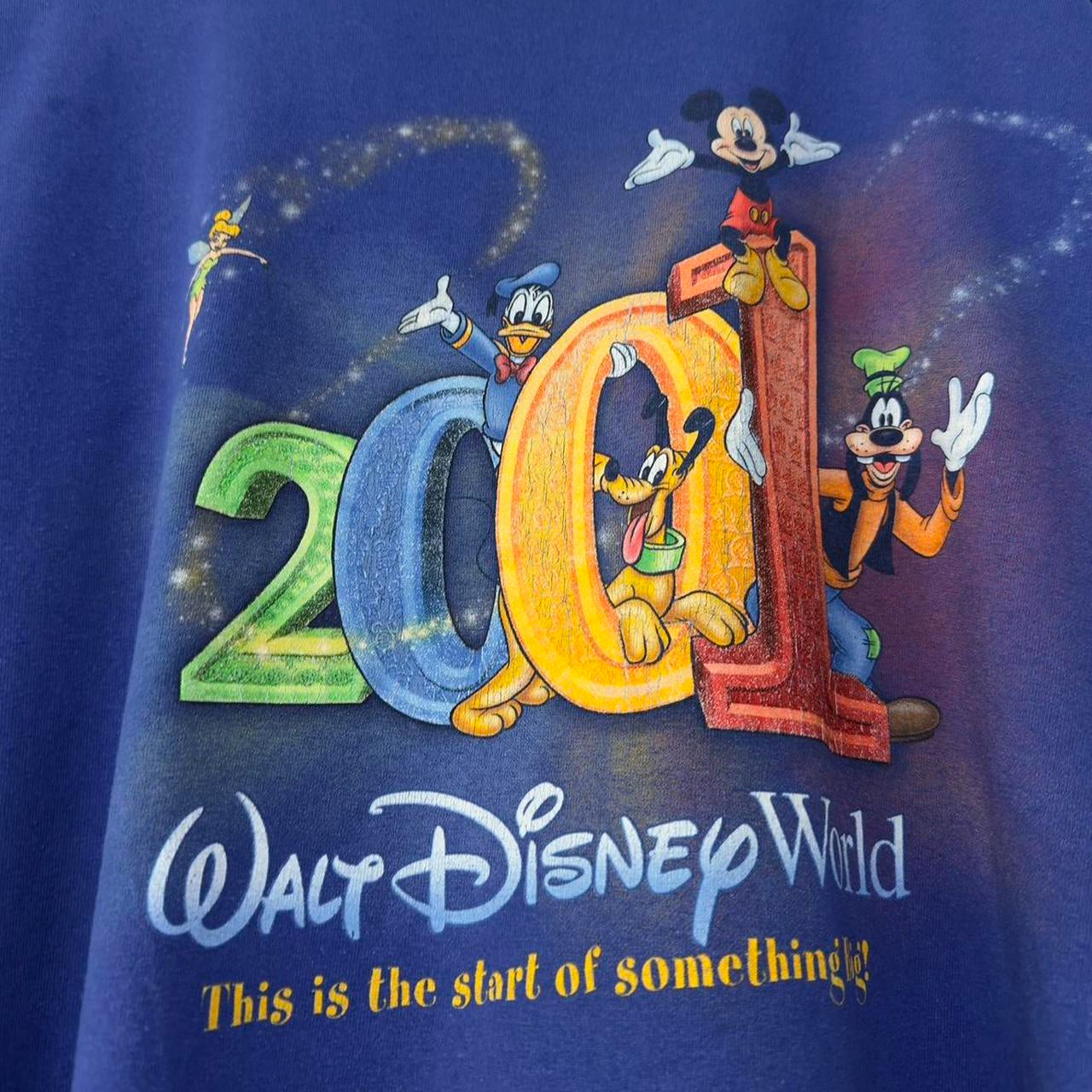Vintage Walt Disney World 2001 T Shirt (XXL)