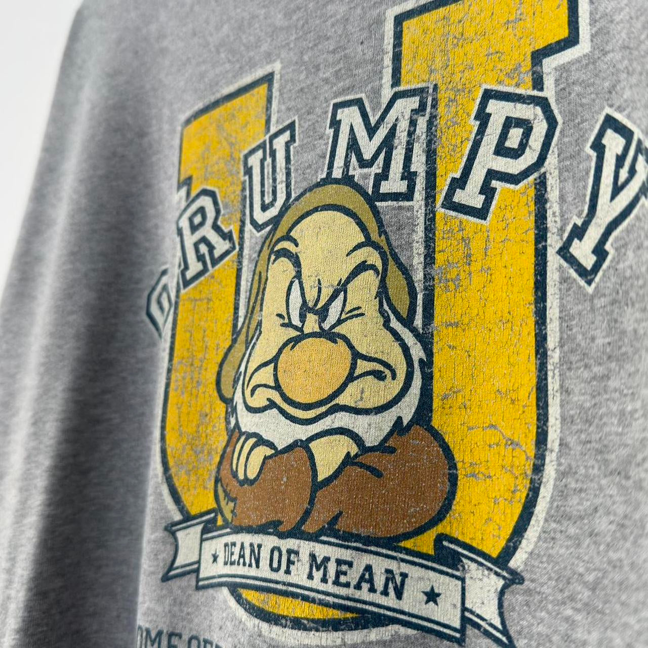 Vintage Disney Store Grumpy University 00s T Shirt (XL)