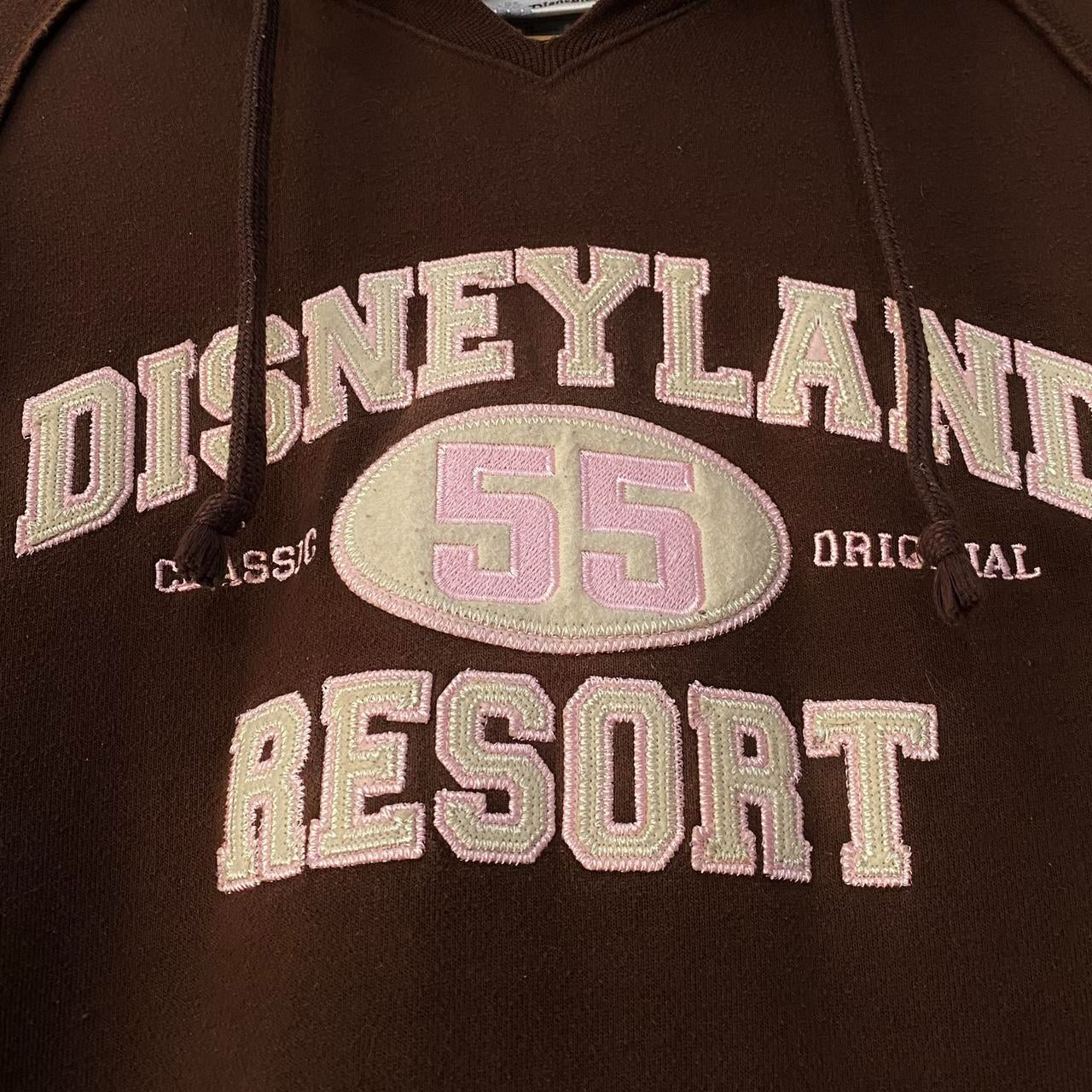 Disneyland Resort Brown 00s Hoodie (XS)