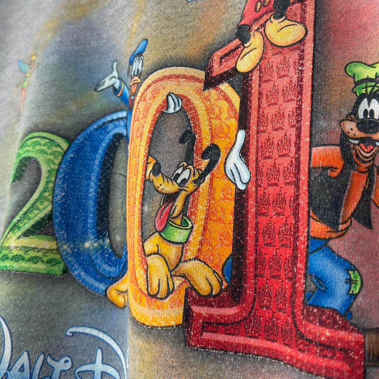 Vintage Walt Disney World 2001 Sweatshirt (L)