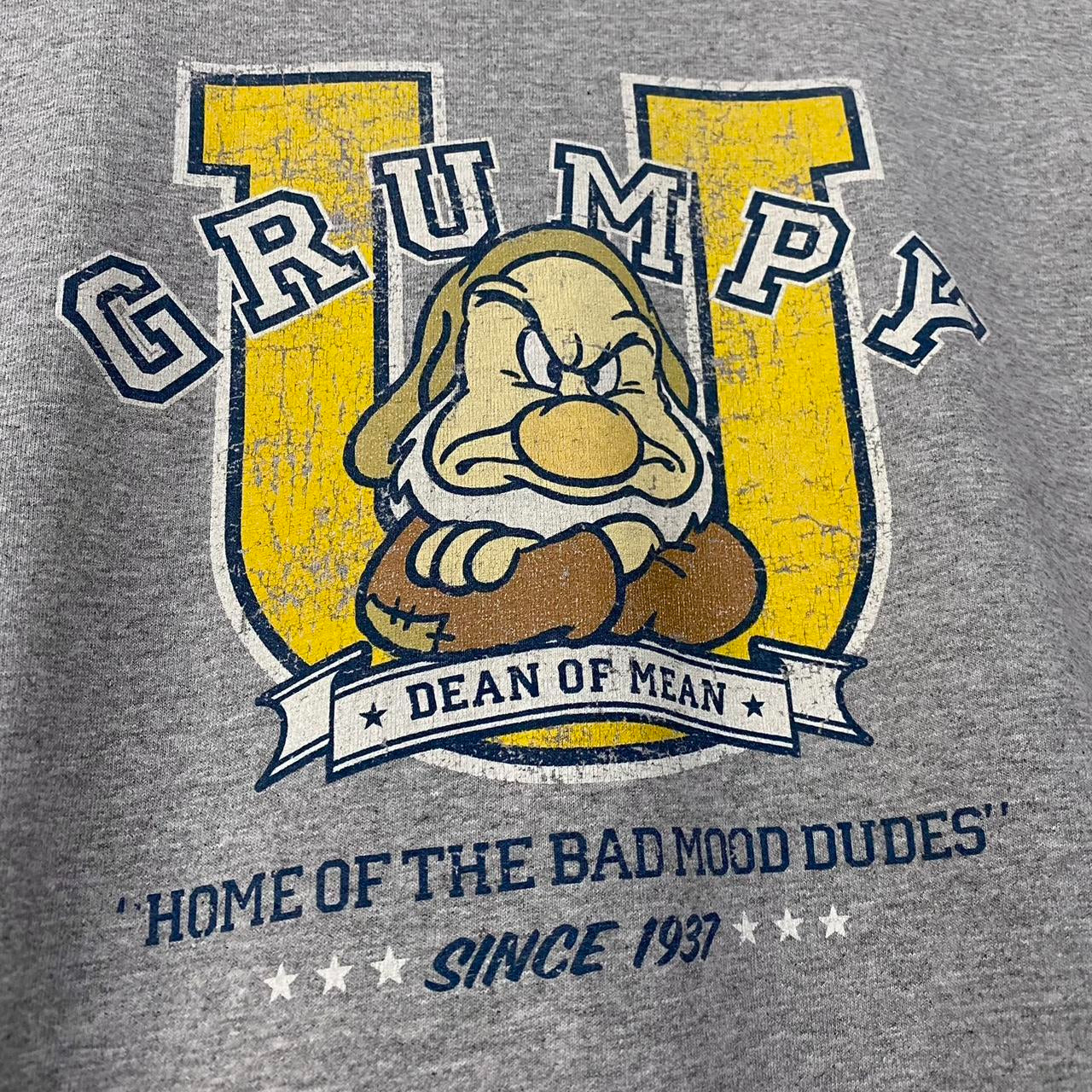 Disney Store Grumpy University 00s T Shirt (XL)