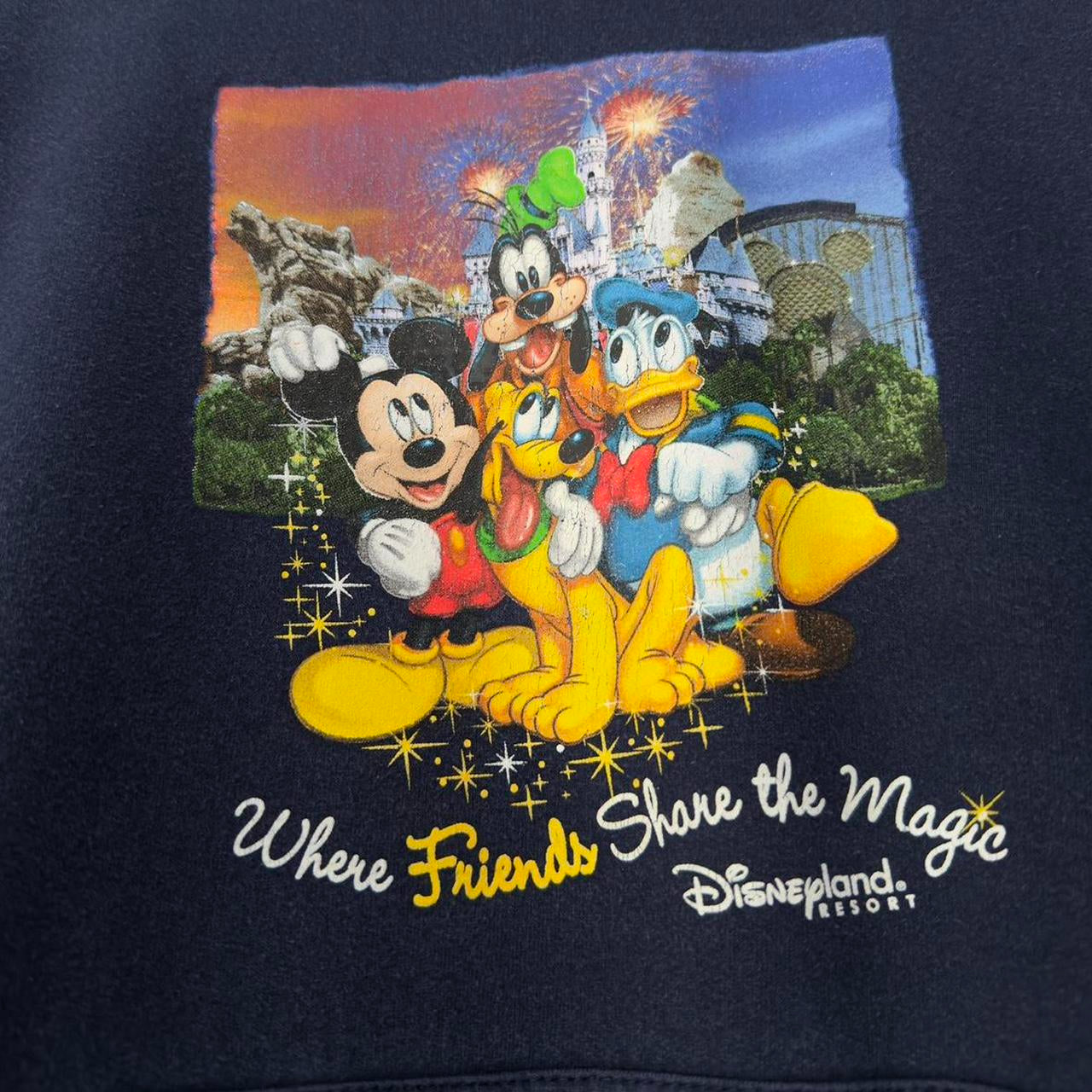 Vintage Disneyland Share the Magic 00s Hoodie (S)