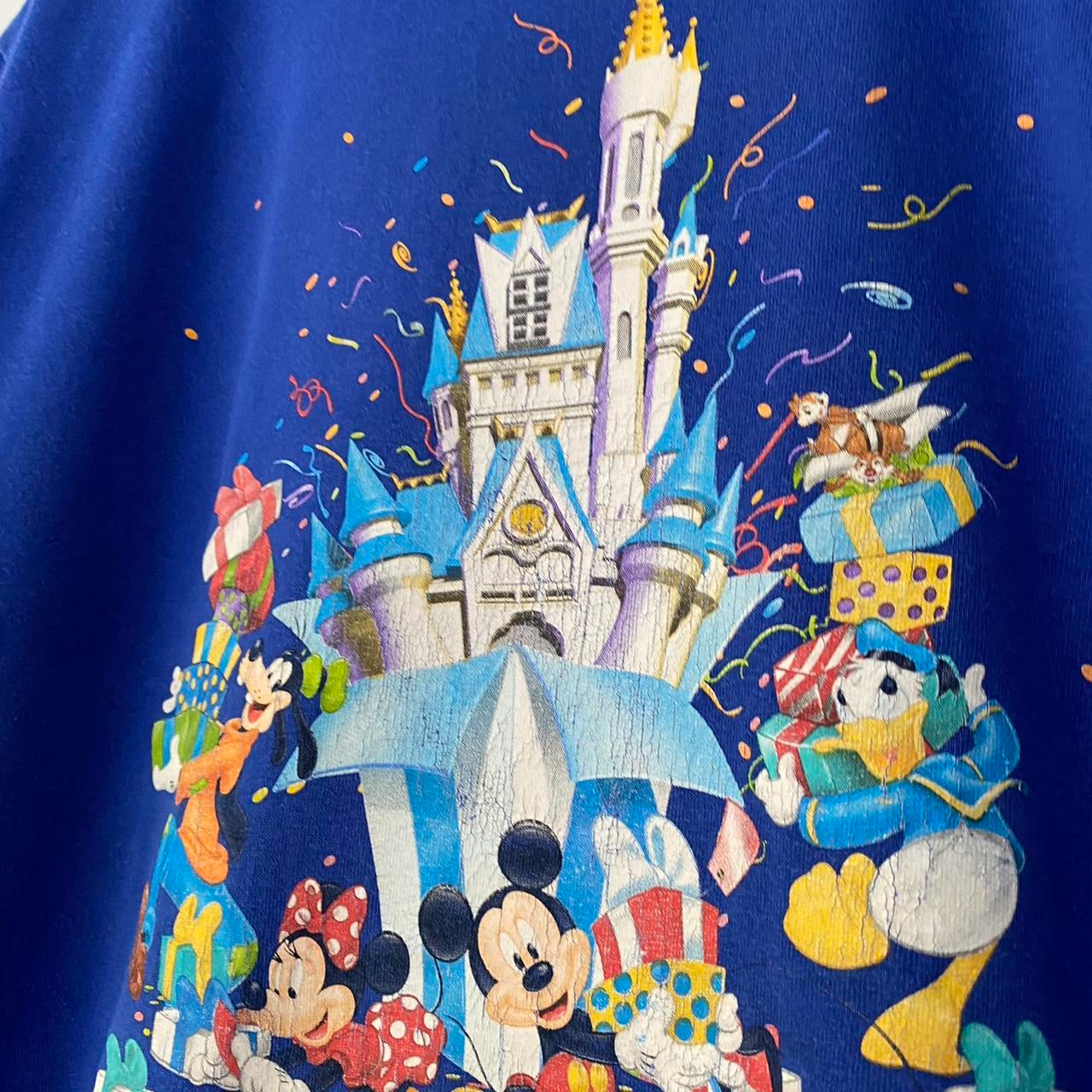 Vintage Disney World 30th Anniversary 2001 T Shirt (S/M)