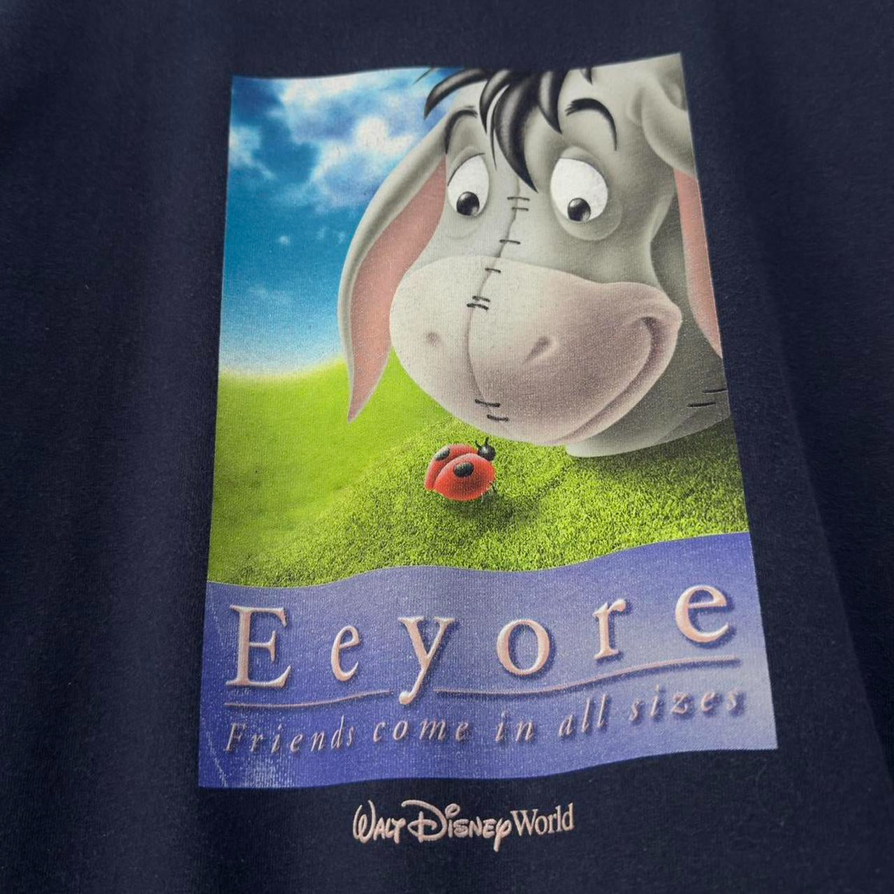 Vintage Eeyore Walt Disney World 00s T Shirt (XL)