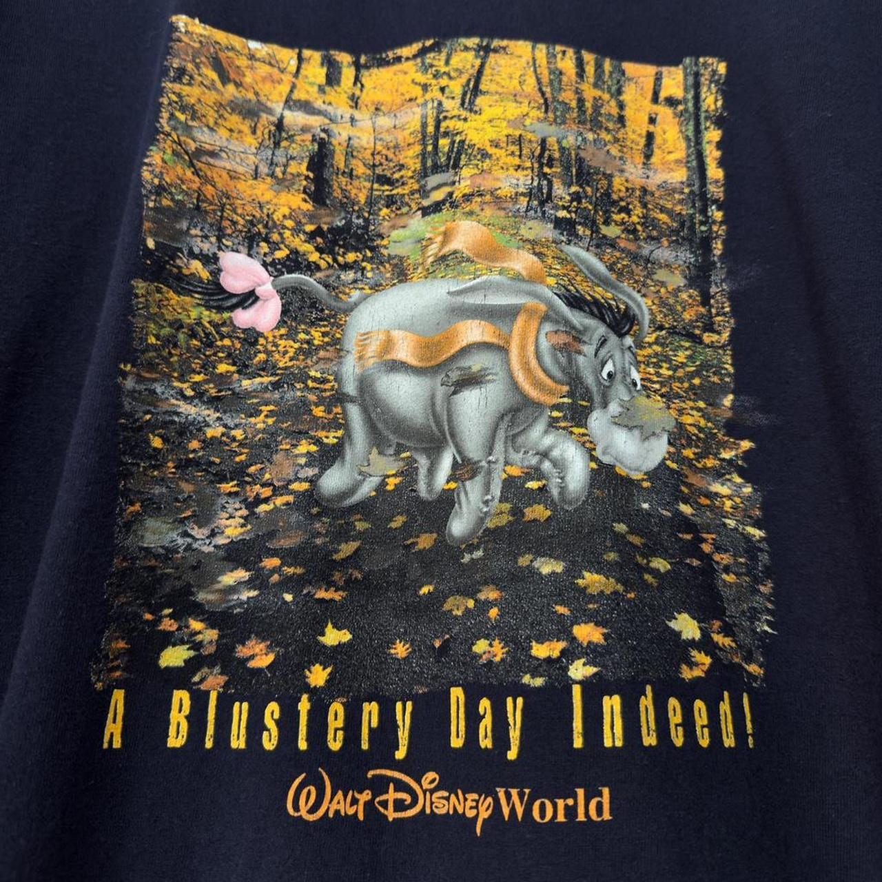 Vintage Eeyore Blustery Day Disney World 00s T Shirt (XL/XXL)