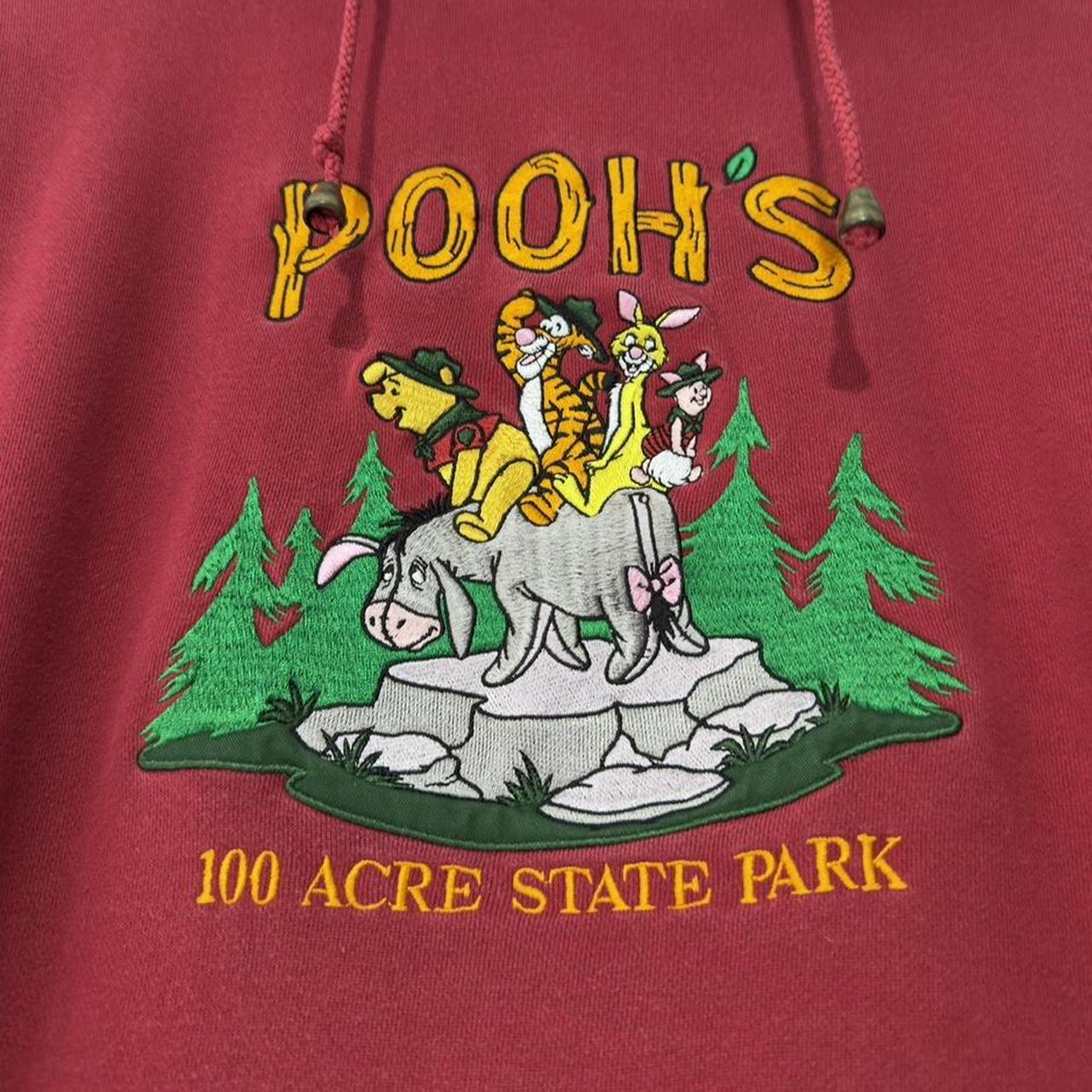 Vintage Pooh's 100 Acre State Park 90s Hoodie (Boxy XL)