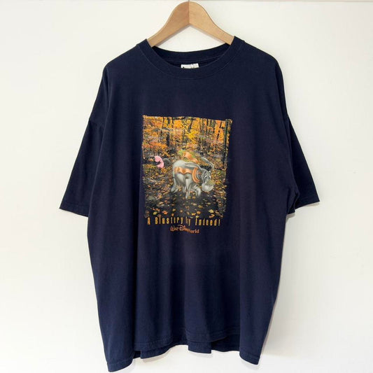 Vintage Eeyore Blustery Day Disney World 00s T Shirt (XL/XXL)