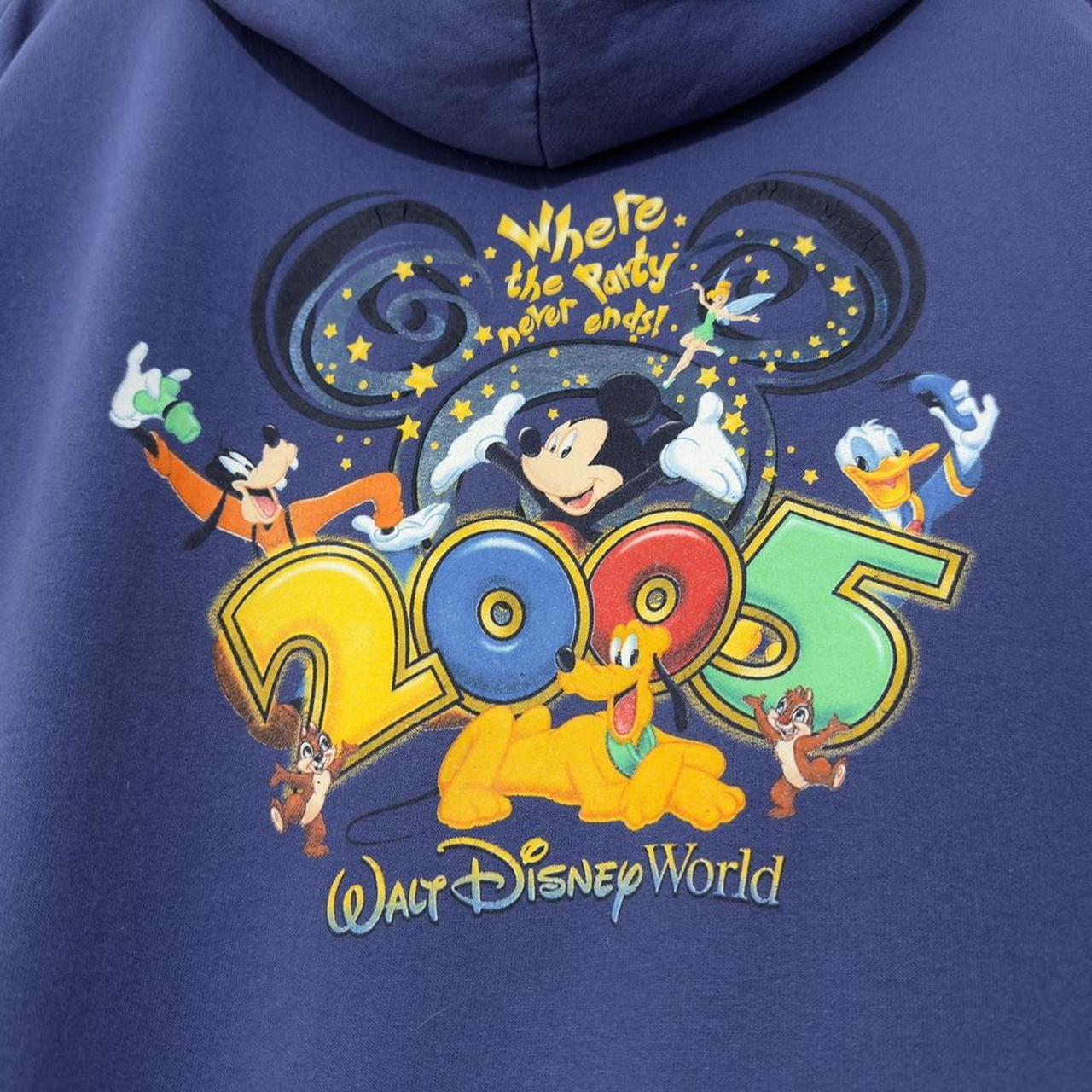 Vintage Walt Disney World 2005 Hoodie (L)