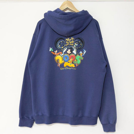 Vintage Walt Disney World 2005 Hoodie (L)
