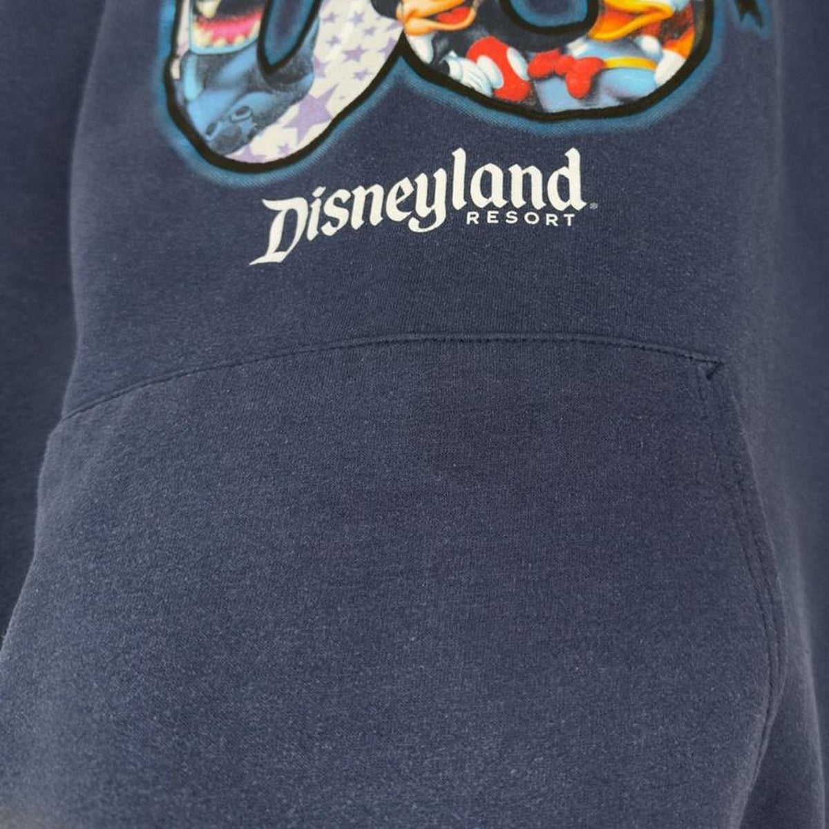 Vintage 2006 Disneyland Navy Blue Hoodie (L)