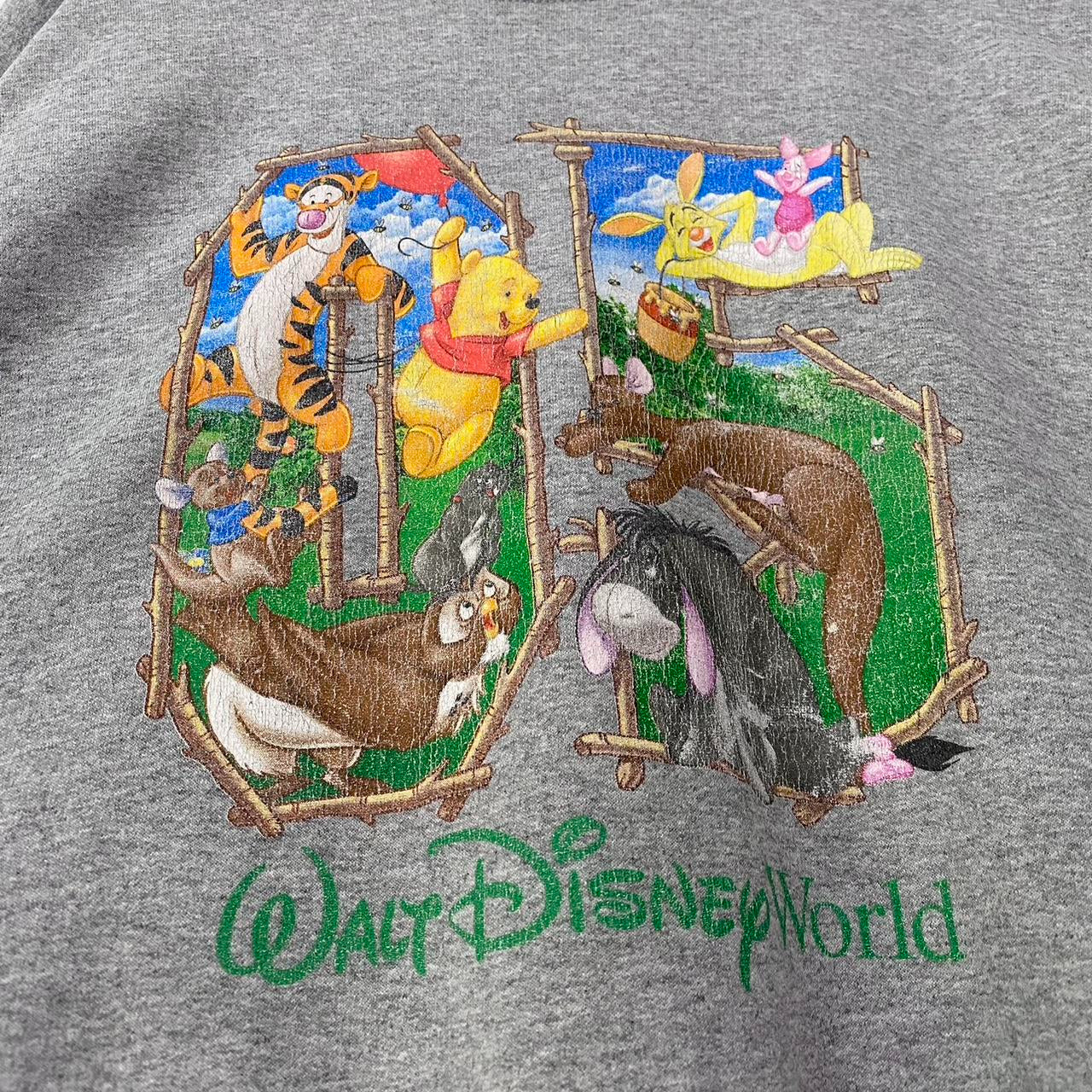 Walt Disney World Pooh & Friends 2005 Sweatshirt (XL)