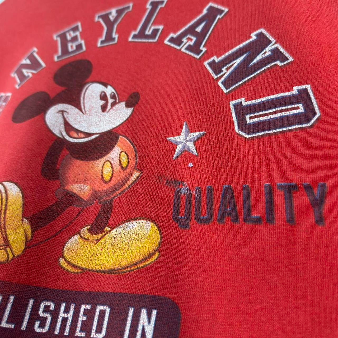 Vintage Disneyland 00s T Shirt (XL)