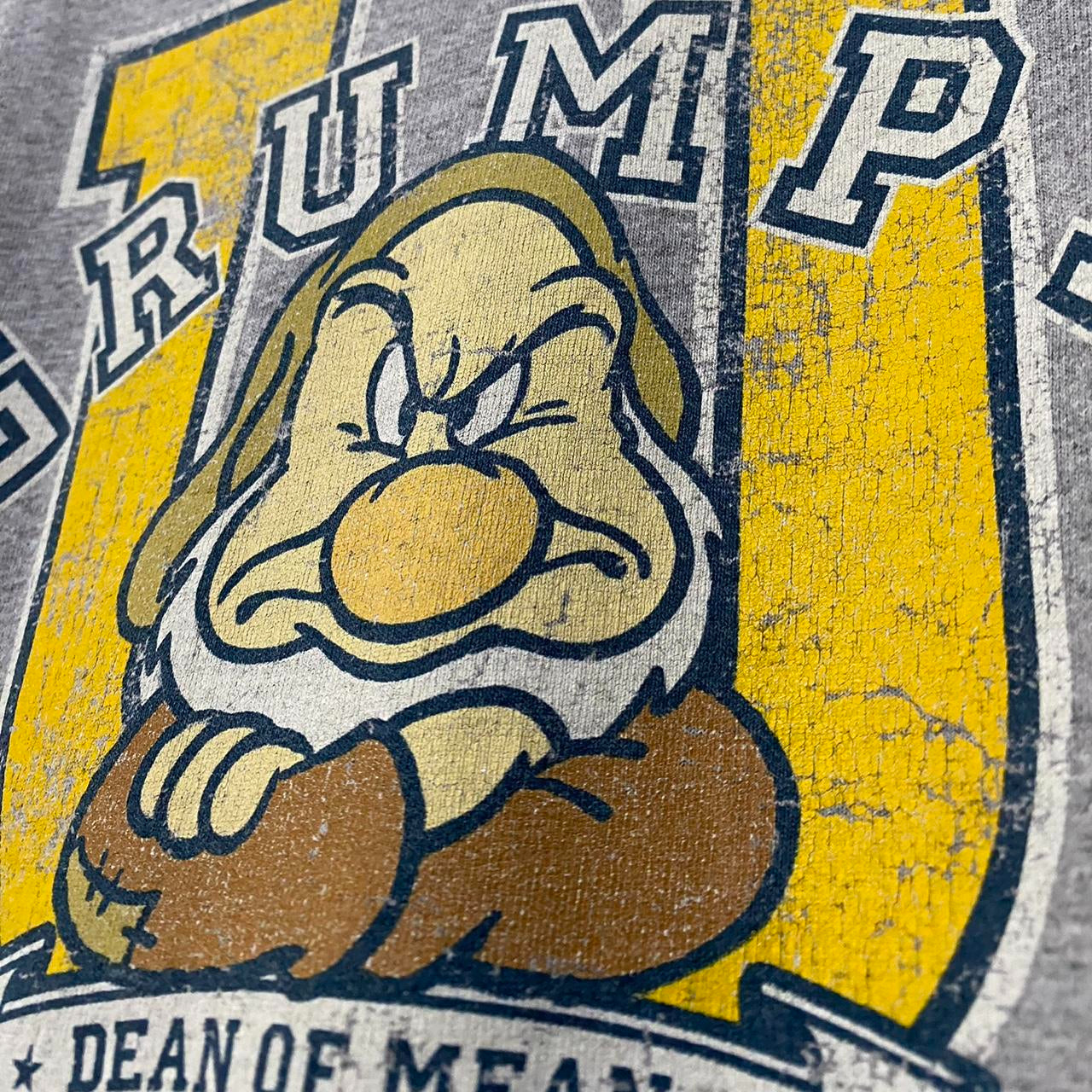 Disney Store Grumpy University 00s T Shirt (XL)