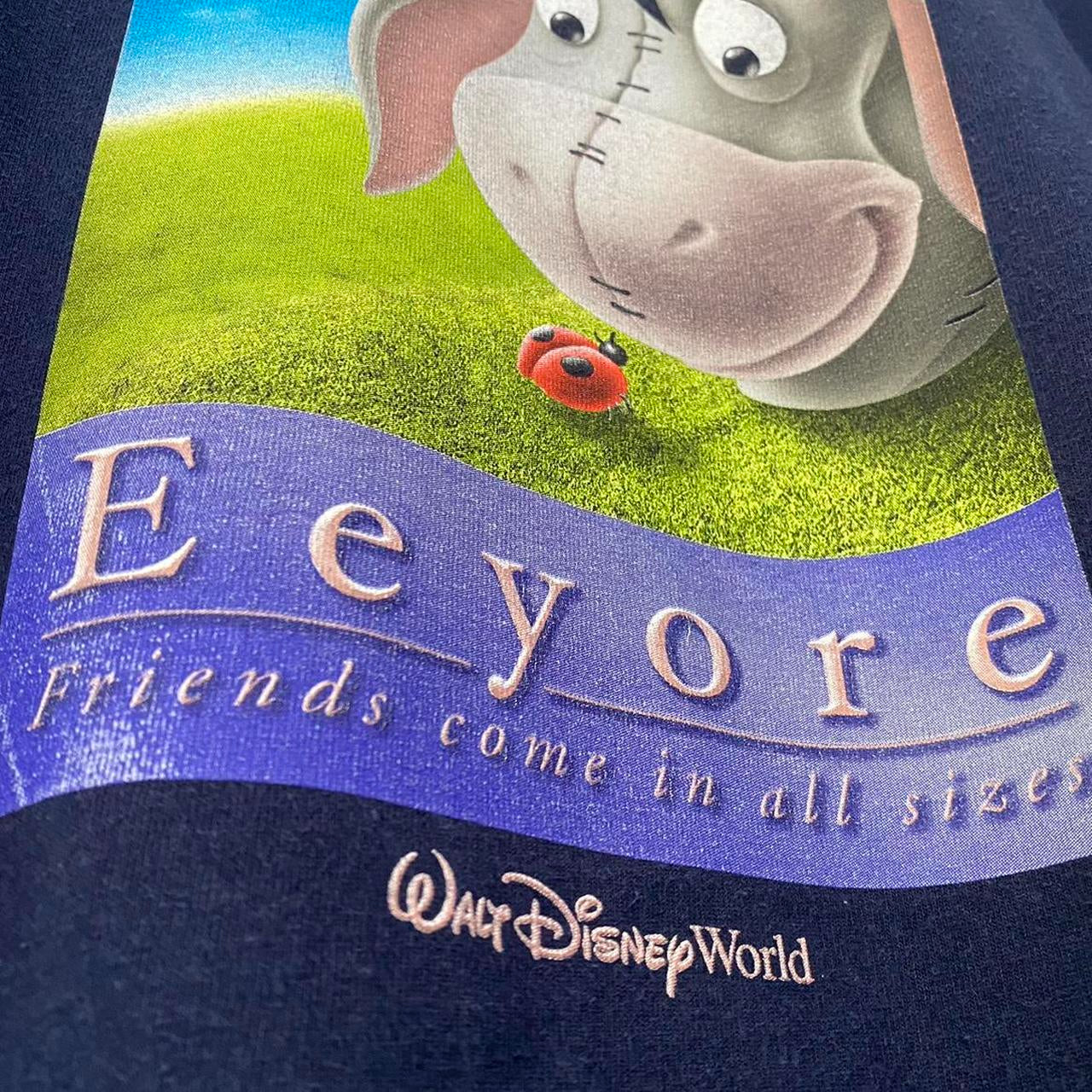 Vintage Eeyore Walt Disney World T Shirt (XL)