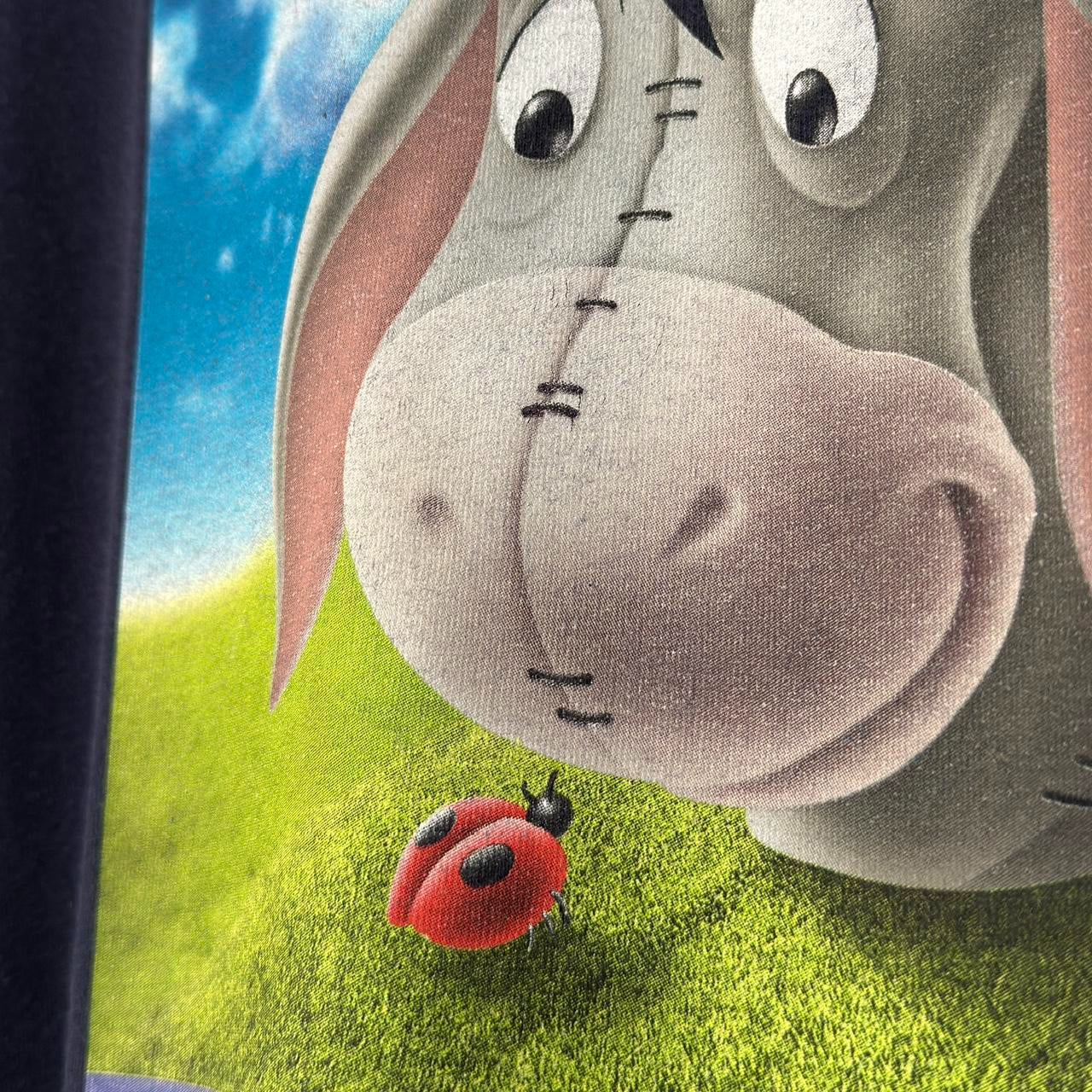 Vintage Eeyore Walt Disney World 00s T Shirt (XL)