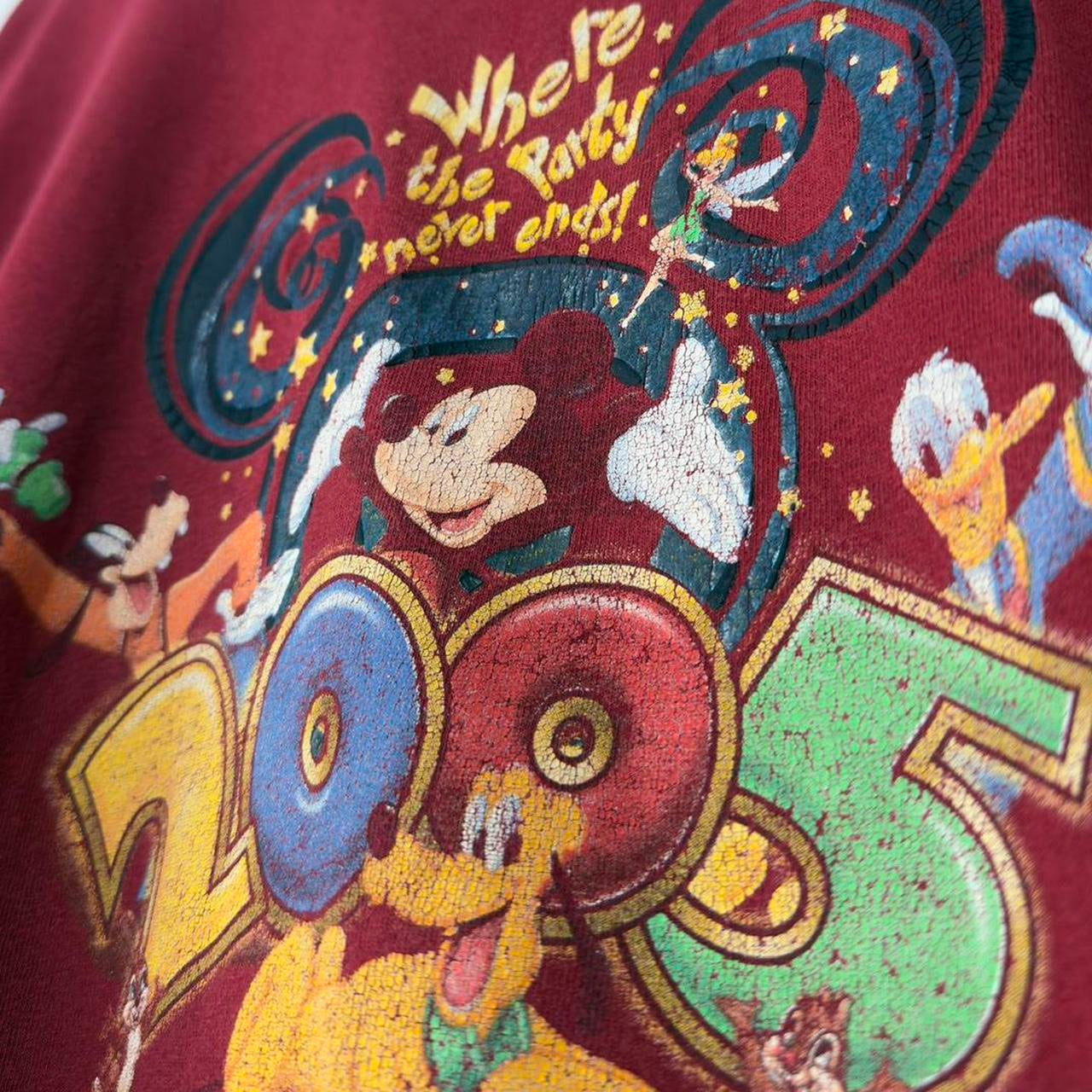 Vintage Walt Disney World 2005 T Shirt (L)