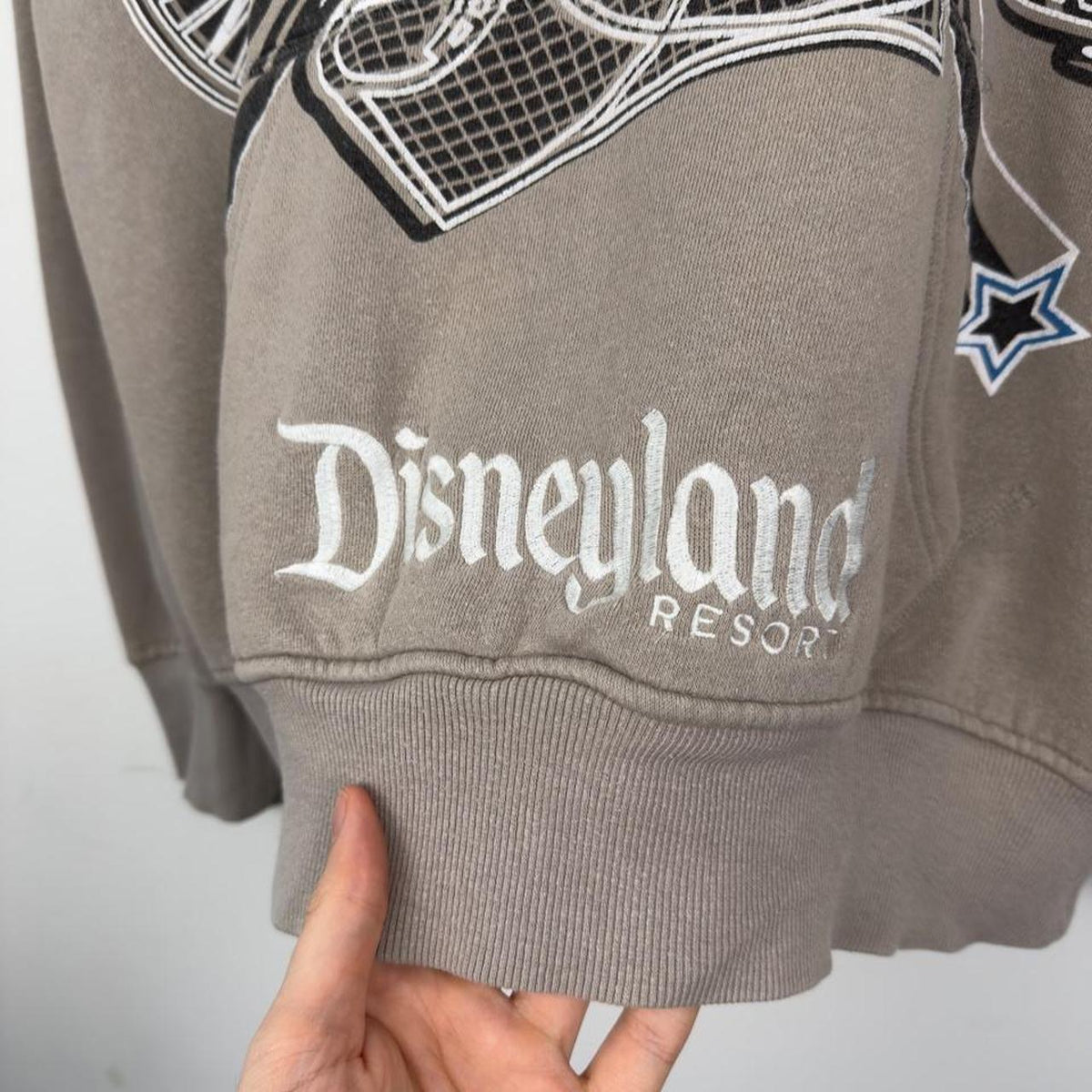 Disneyland Resort 2012 Grey Hoodie (L)