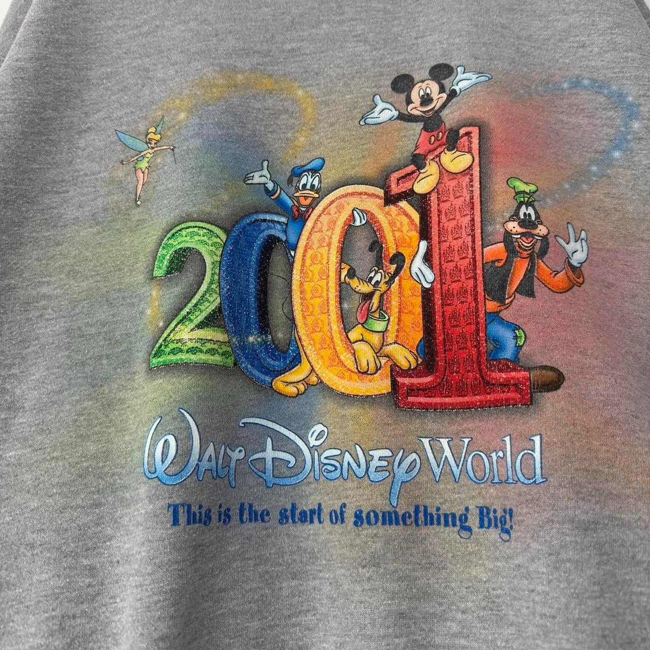 Vintage Walt Disney World 2001 Sweatshirt (L)