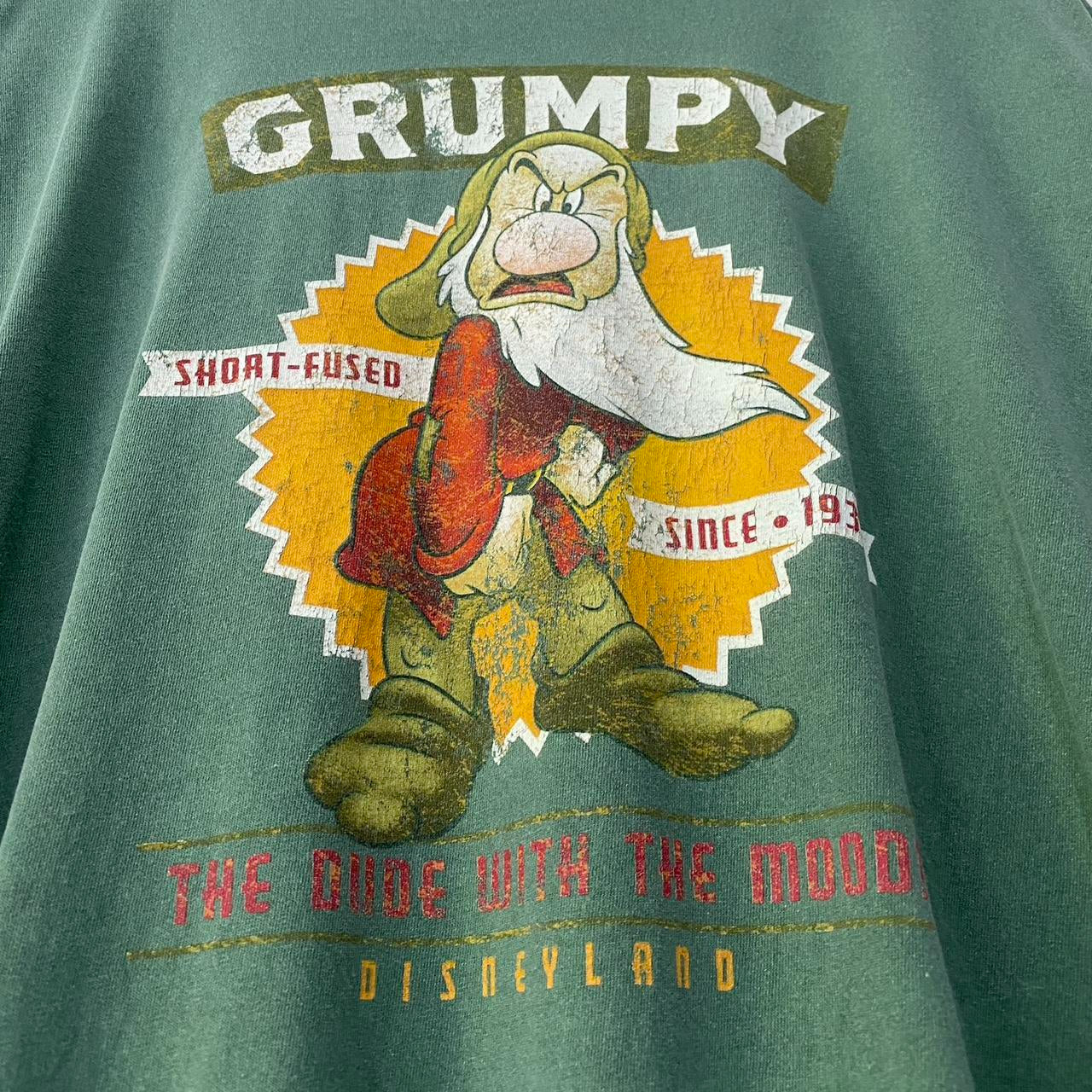 Disneyland Grumpy 00s T Shirt (XXL)