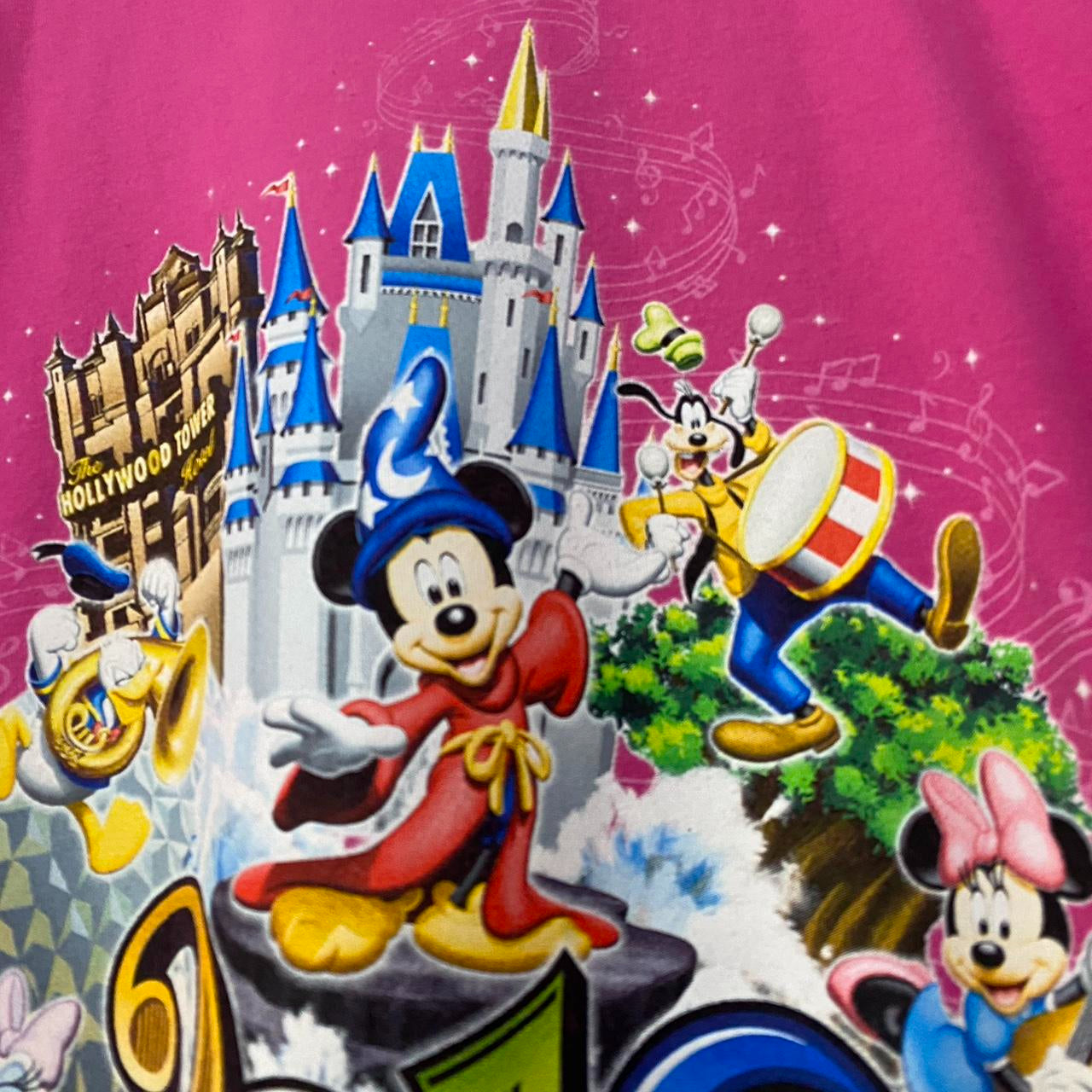 Walt Disney World 2016 Pink T Shirt (M)