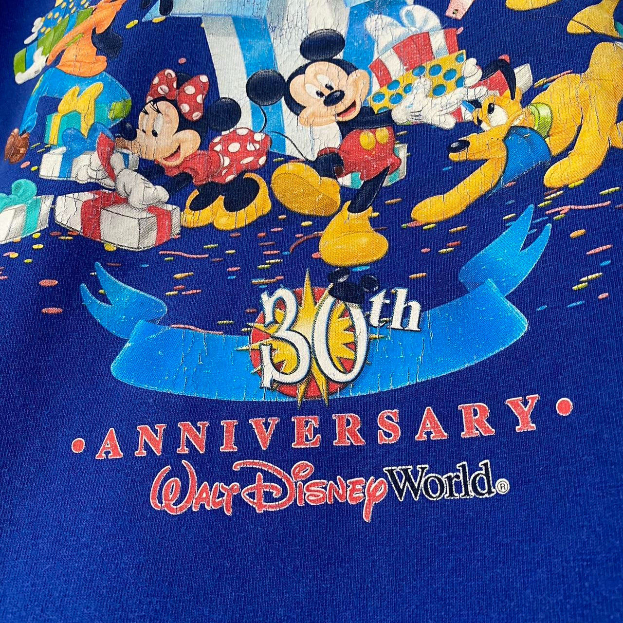 Vintage Disney World 30th Anniversary 2001 T Shirt (S/M)