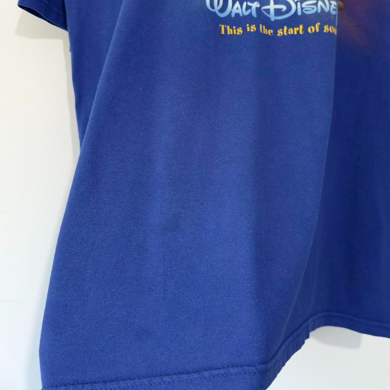 Vintage Walt Disney World 2001 T Shirt (XXL)