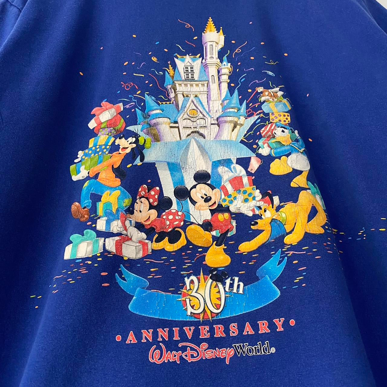 Vintage Disney World 30th Anniversary 2001 T Shirt (S/M)