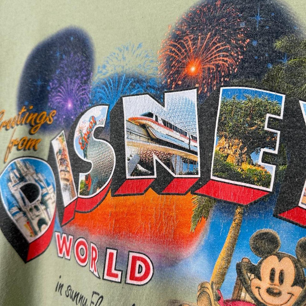 Vintage 00s Walt Disney World Green T Shirt (L)