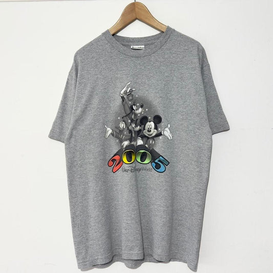 Vintage Walt Disney World 2005 T Shirt (L)