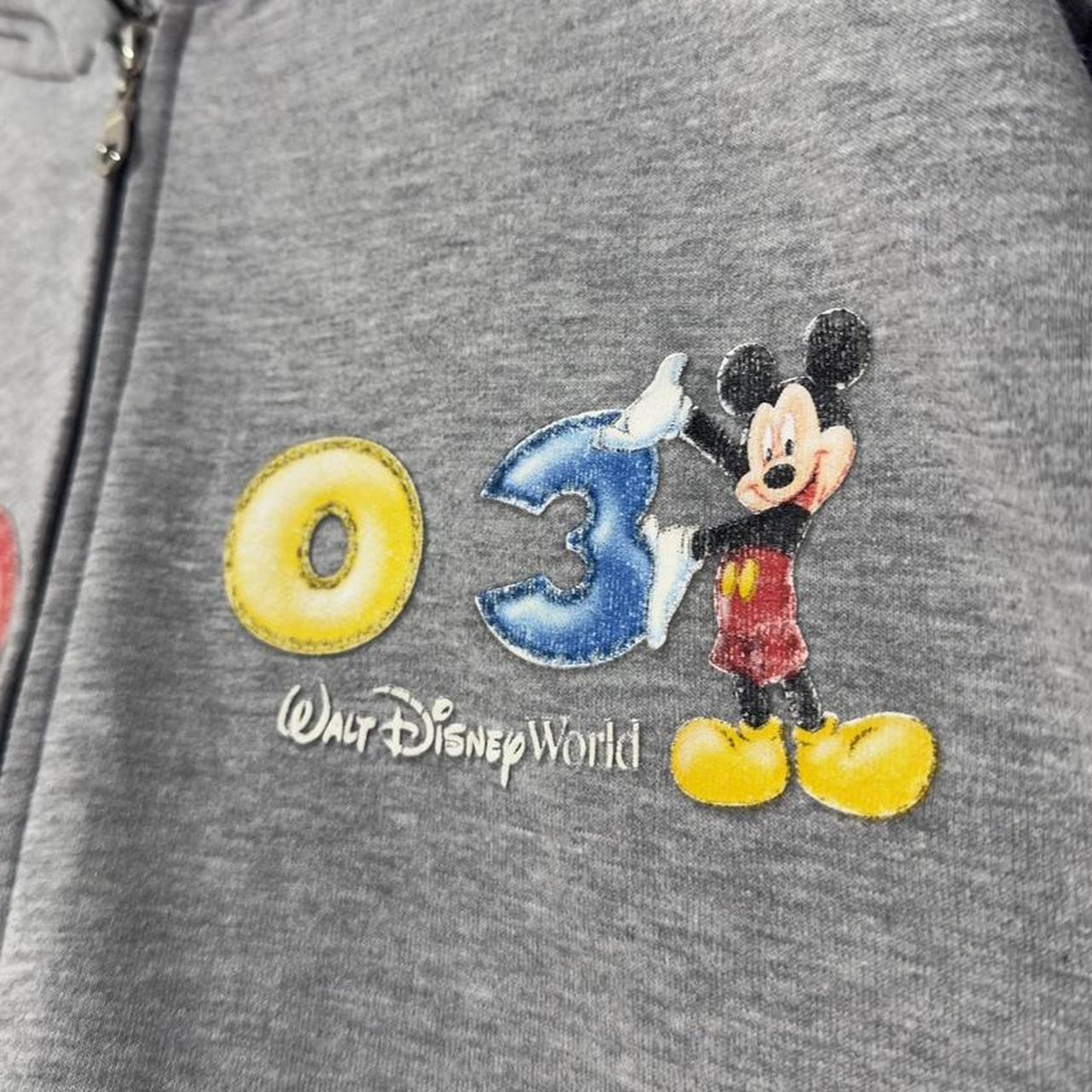 Vintage Walt Disney World 2003 Hoodie (L)
