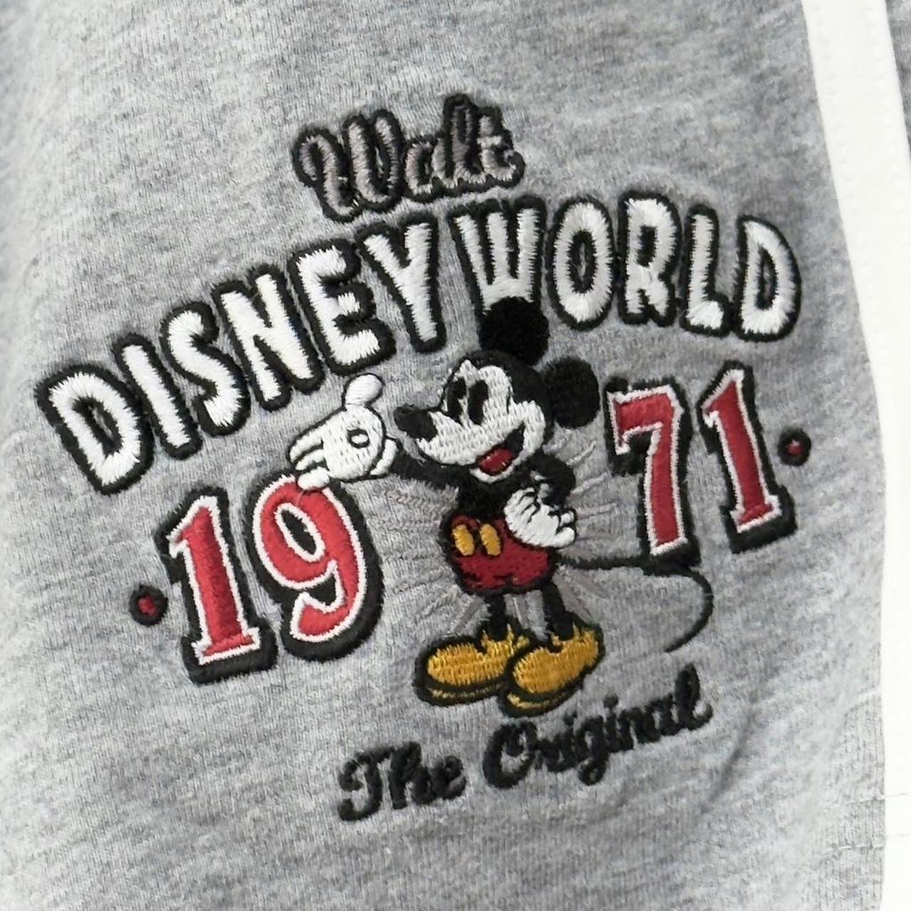 Walt Disney World Embroidered Striped Grey Shorts (L)