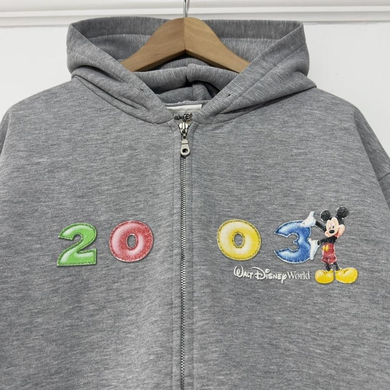 Vintage Walt Disney World 2003 Hoodie (L)