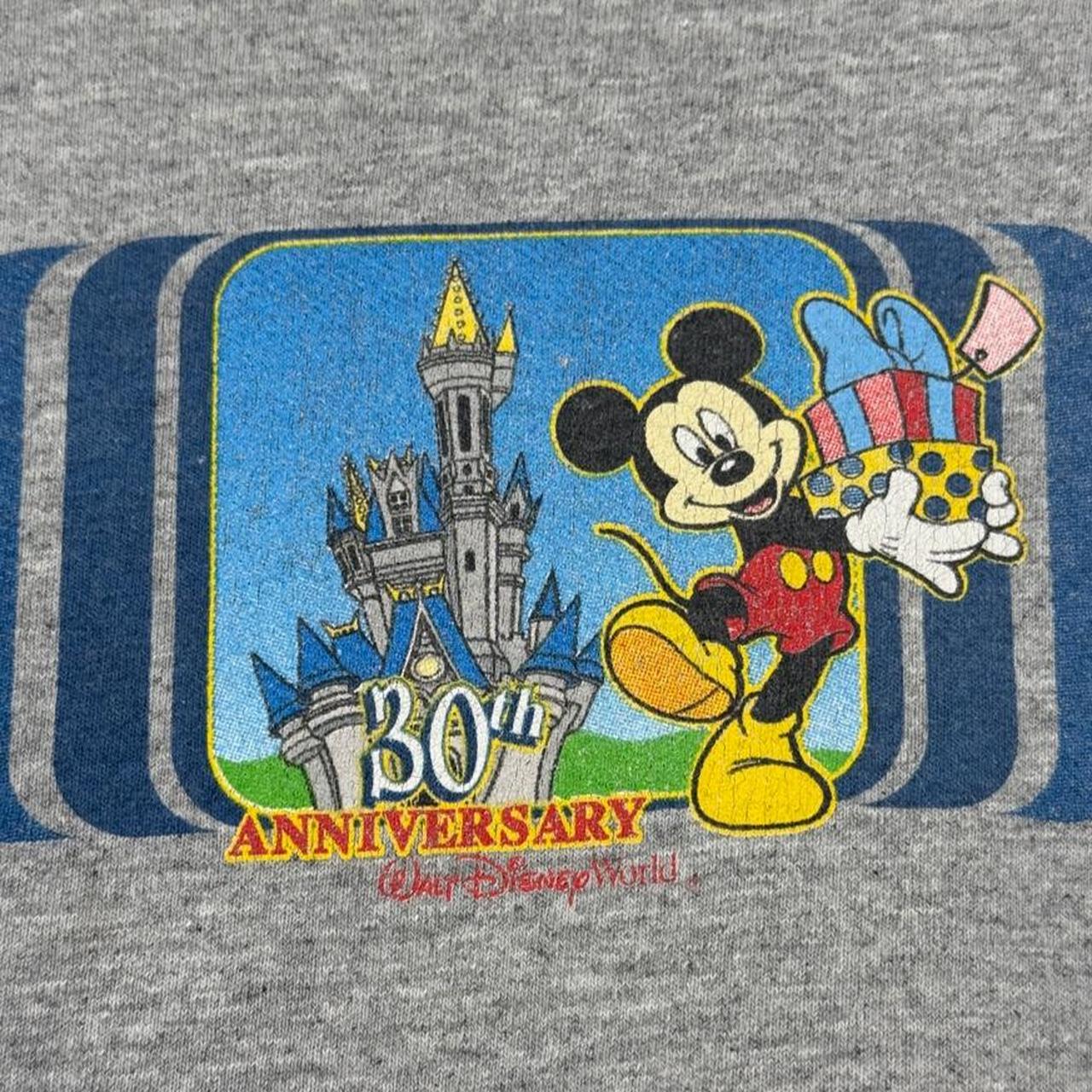 Vintage 2001 Walt Disney World 30th Anniversary Grey Long Sleeve (M)