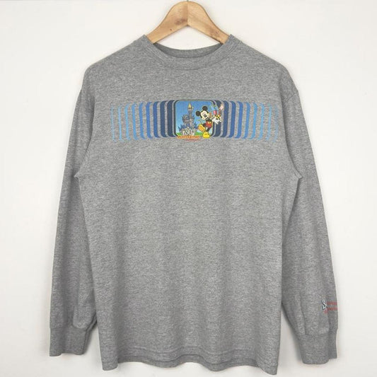Vintage 2001 Walt Disney World 30th Anniversary Grey Long Sleeve (M)