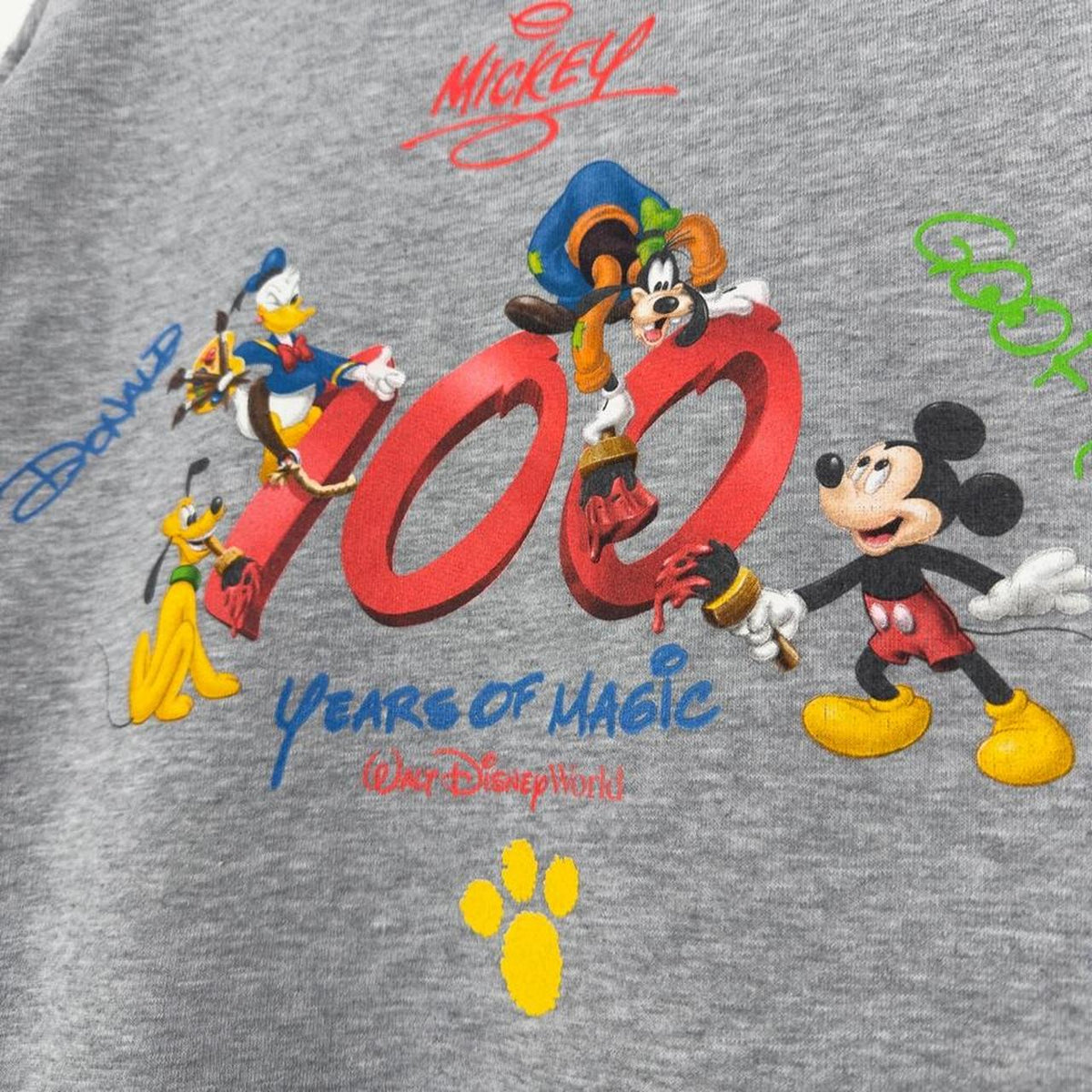Vintage 00s 100 Years of Magic Disney World Zip Up Grey Hoodie (L)