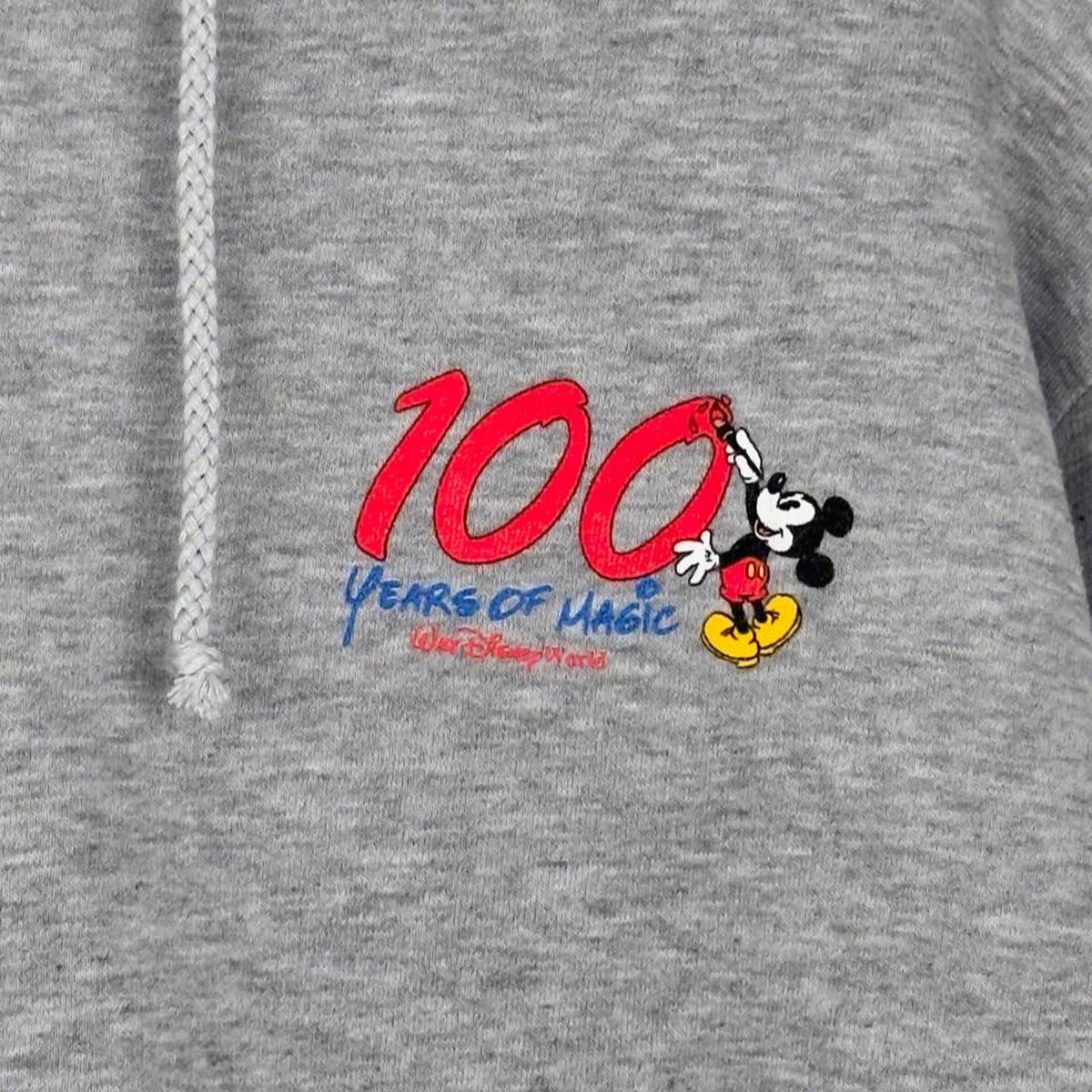 Vintage 00s 100 Years of Magic Disney World Zip Up Grey Hoodie (L)